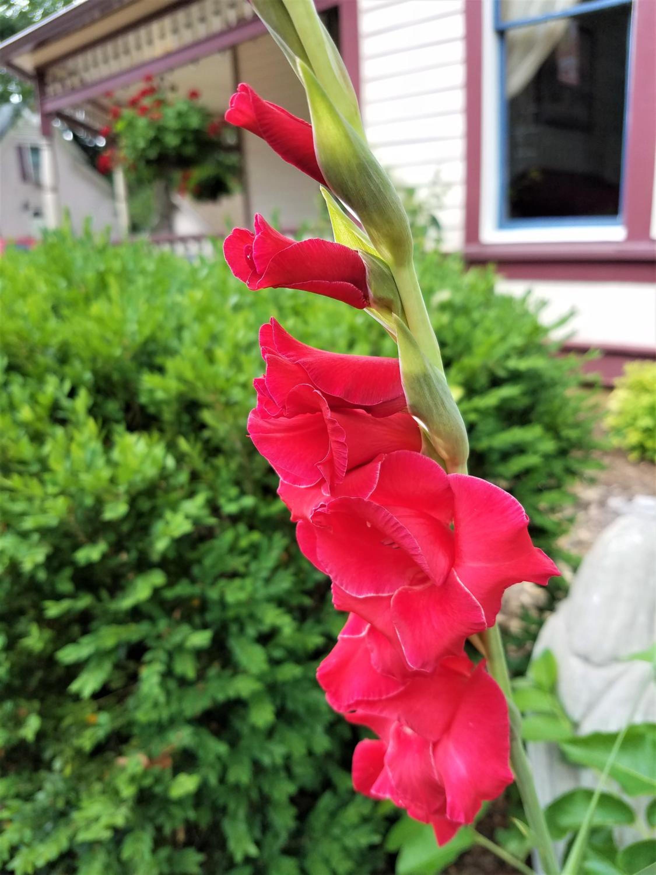 Photo 20