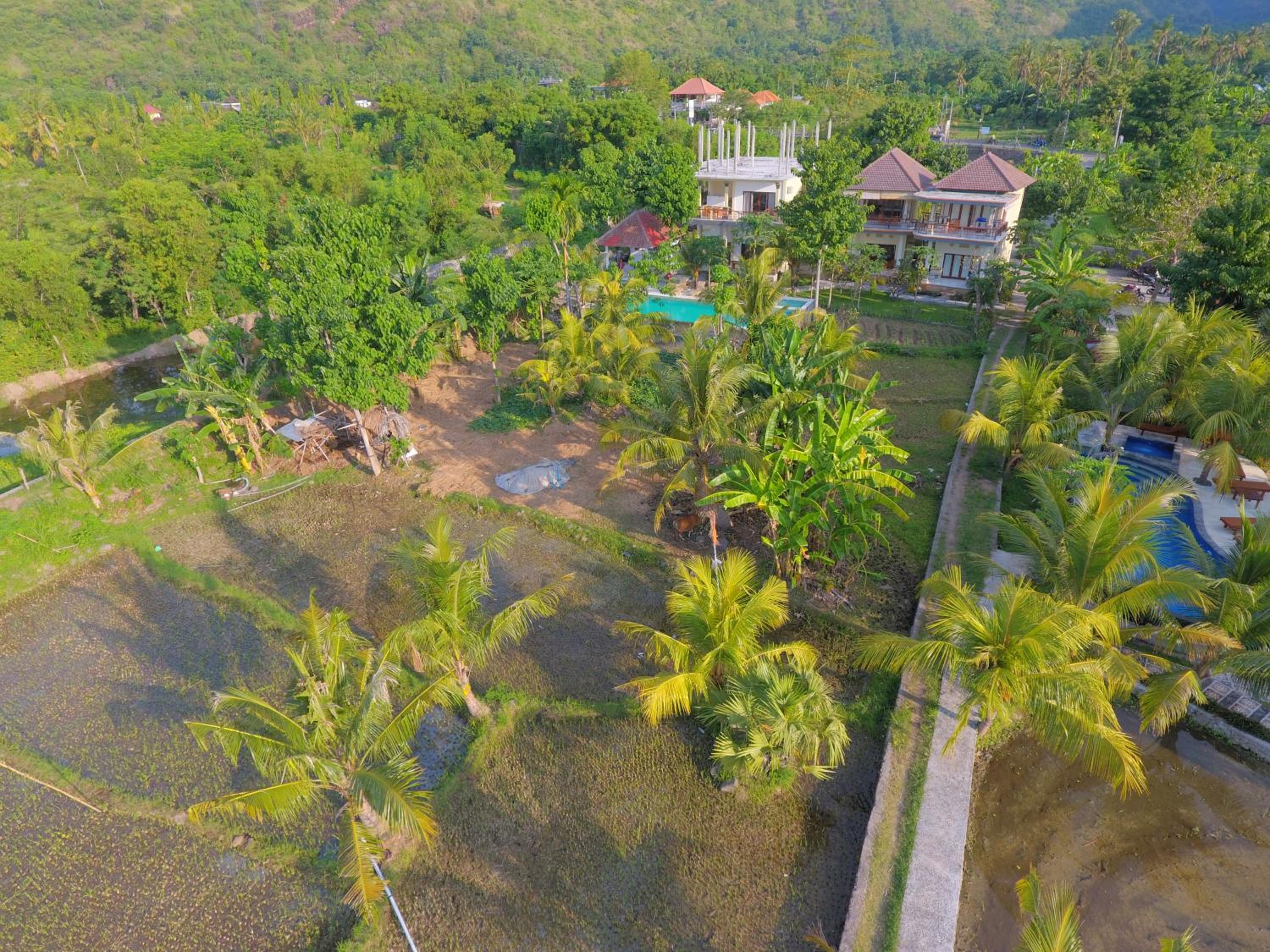 Taman Padi Villa