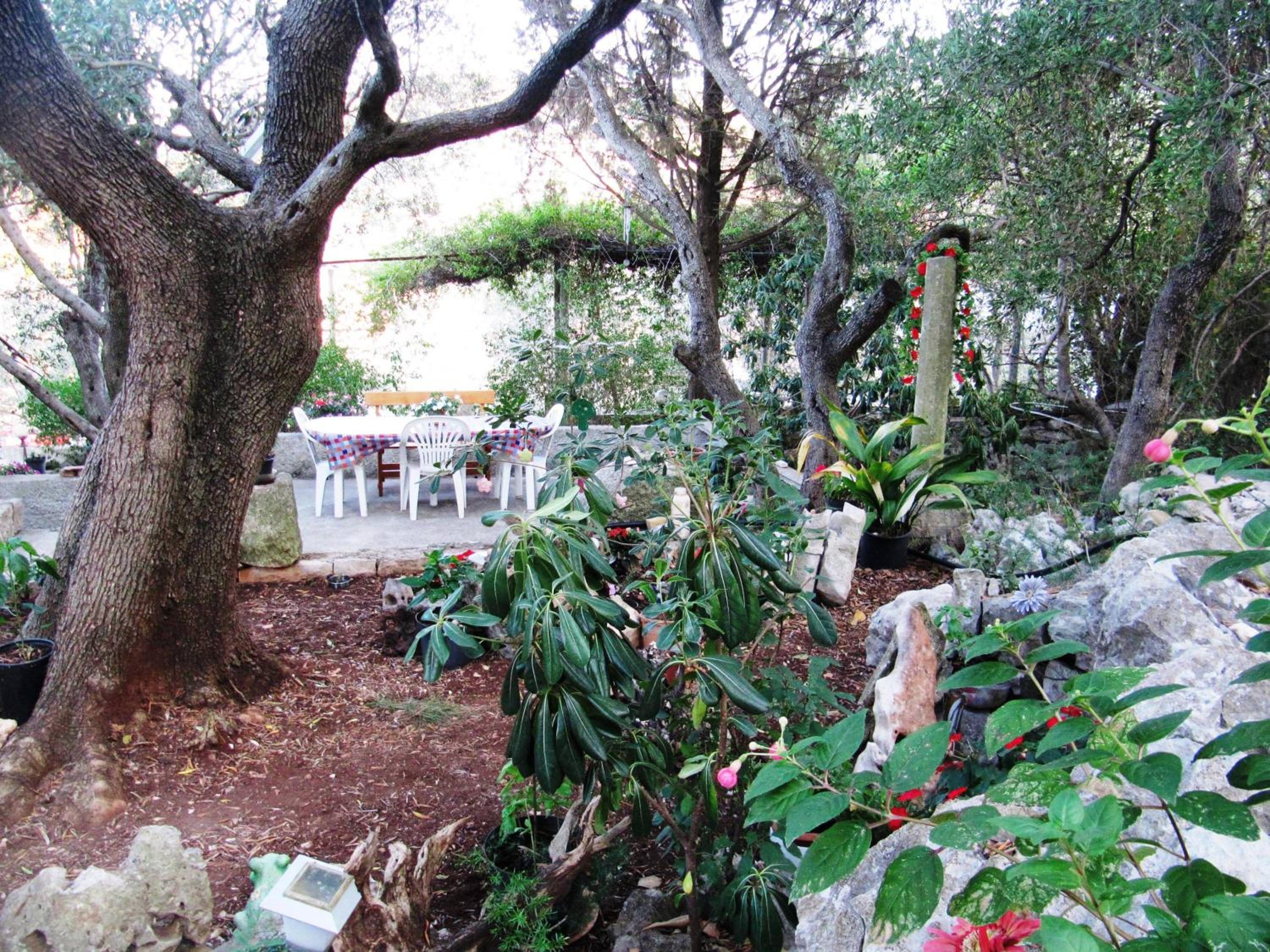 Photo 42