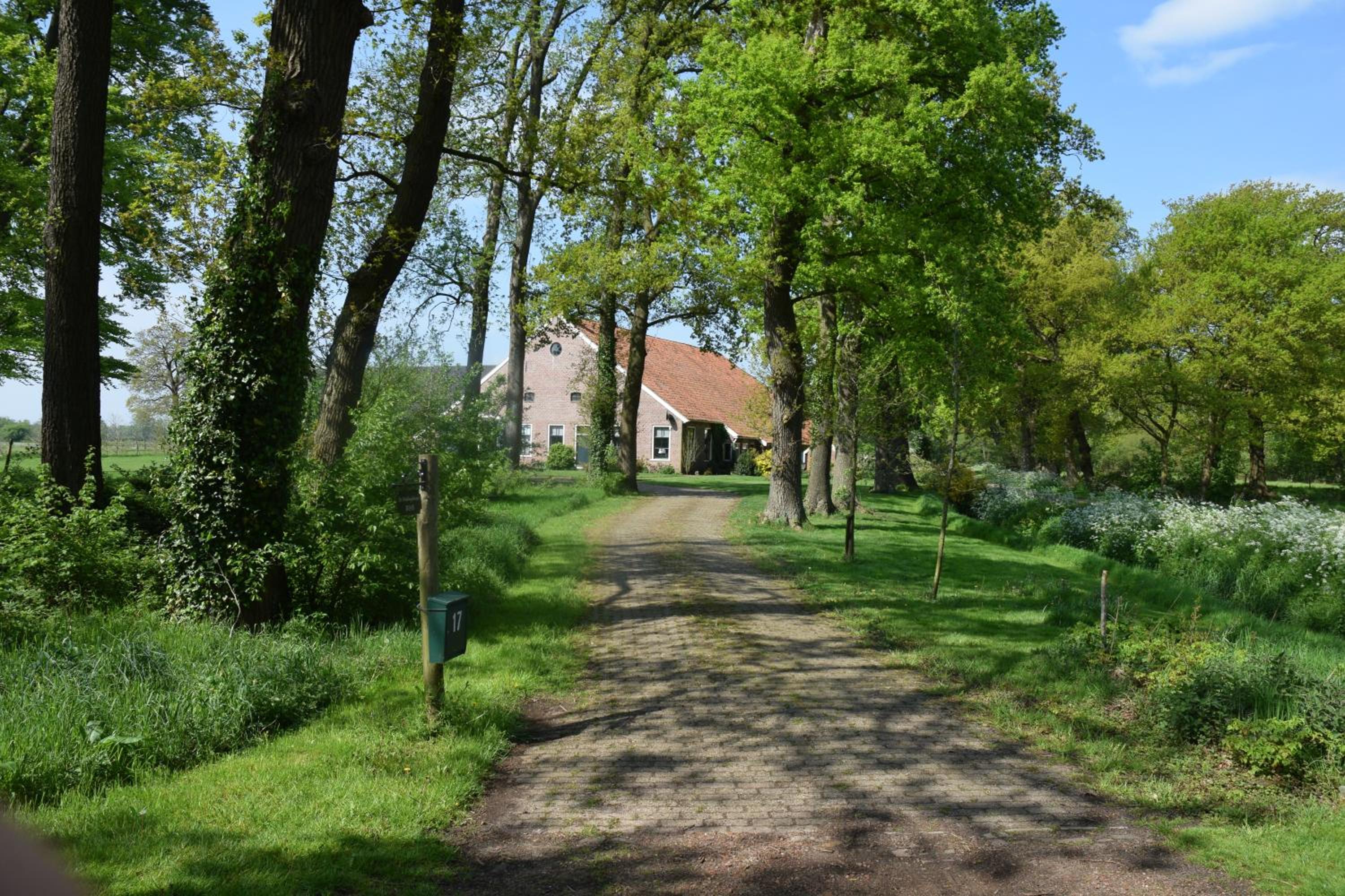 Photo 23