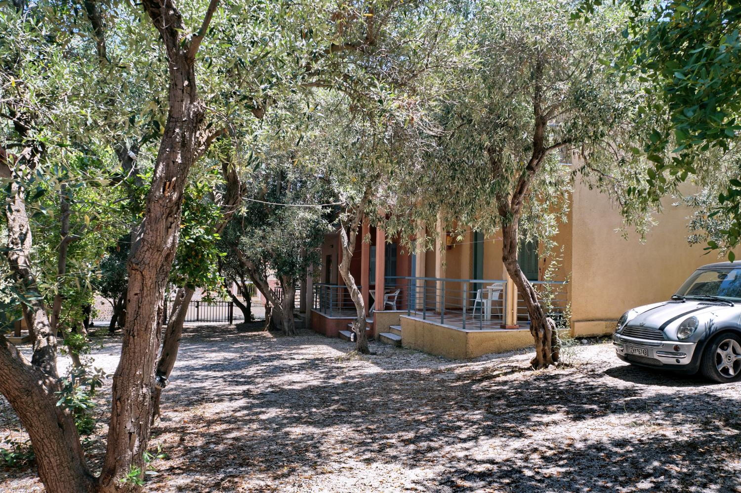 Photo 7