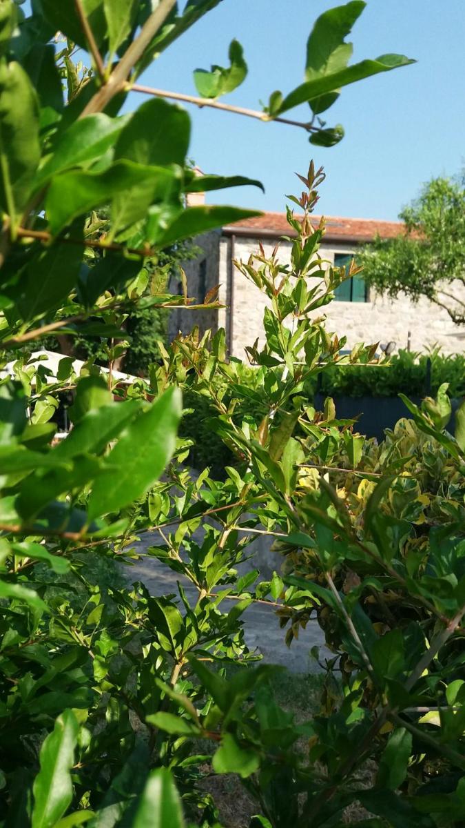 B&B La Casa Del Riccio