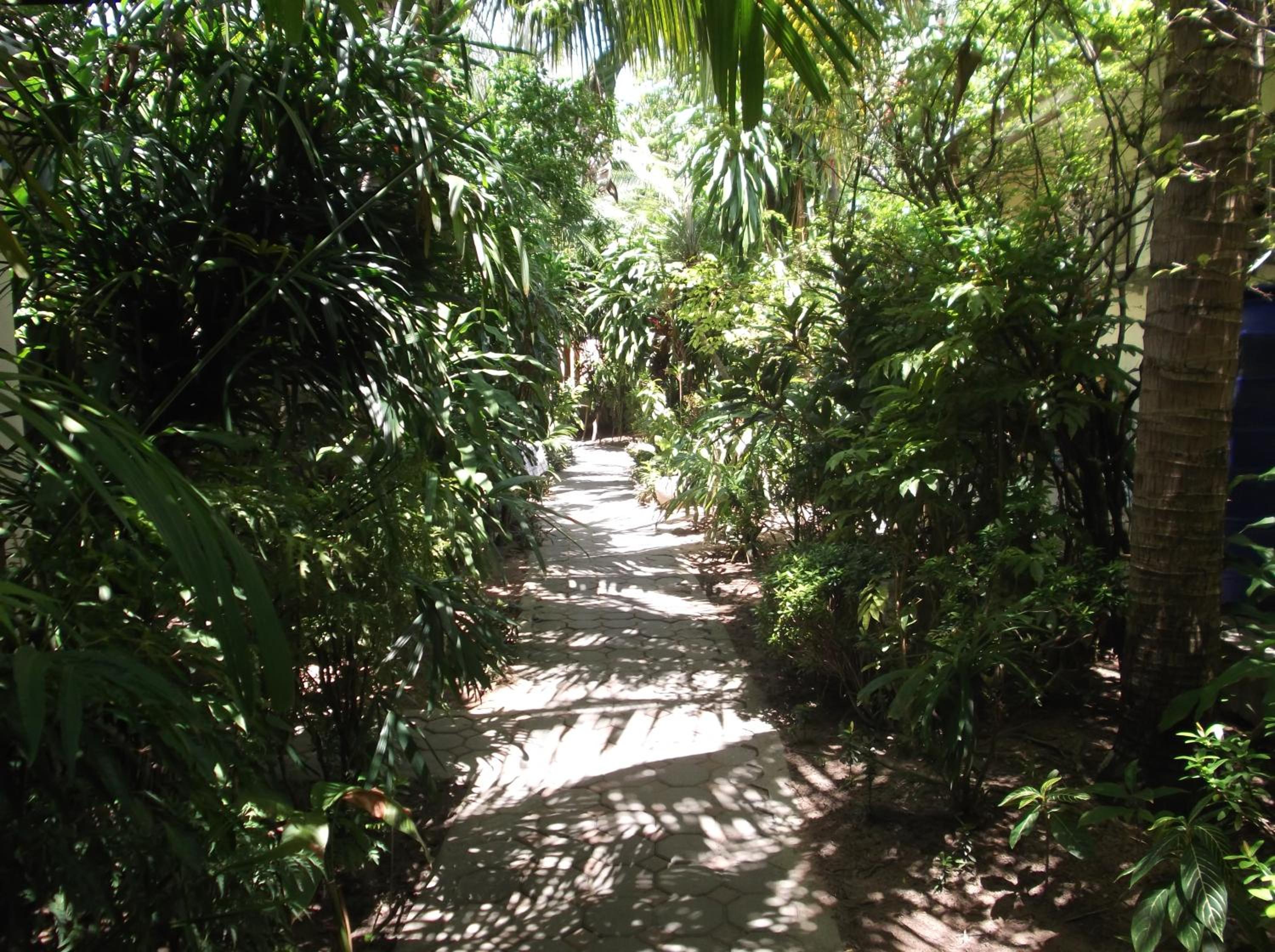 The CHESS Samui