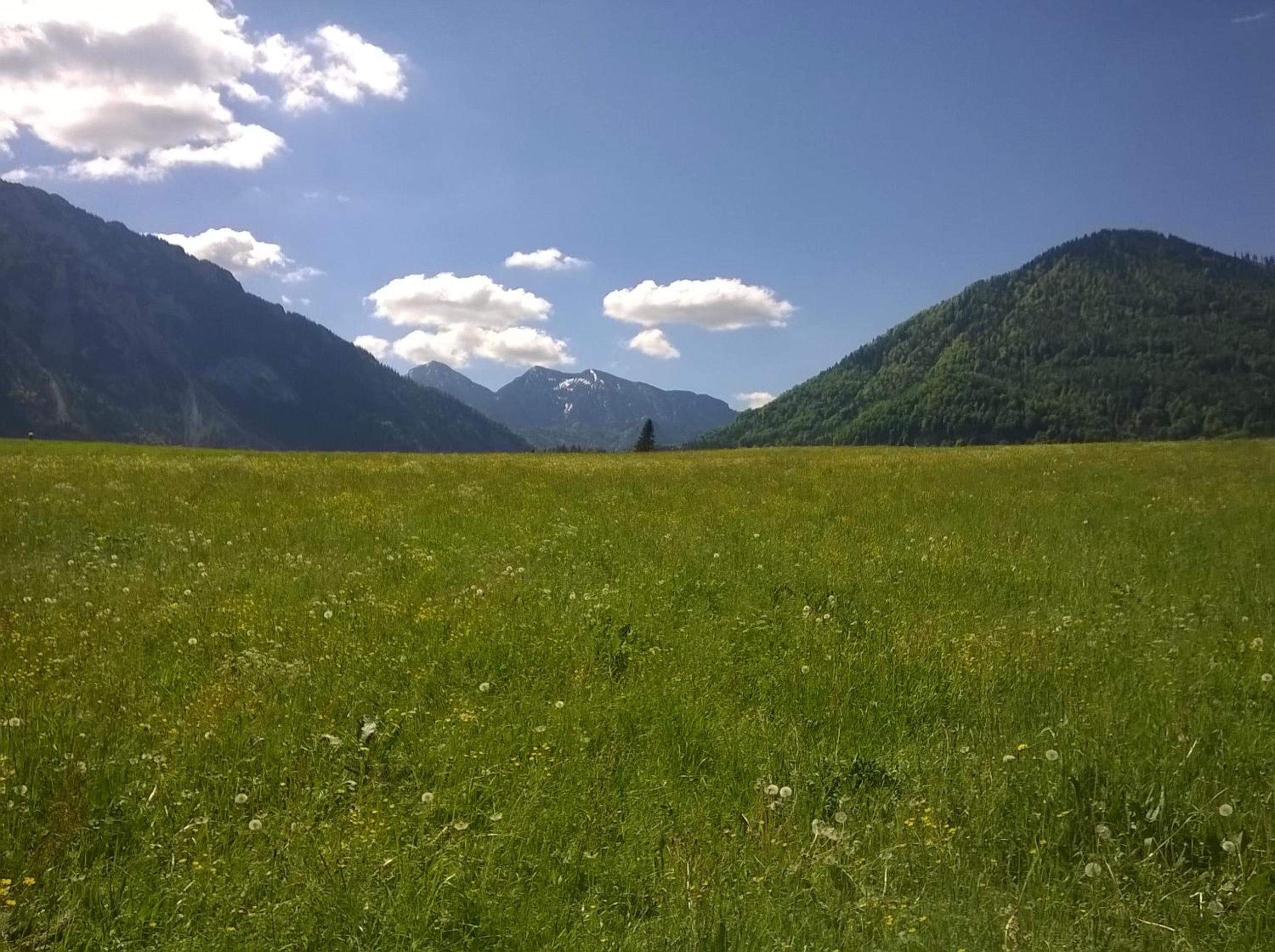 Speckhaus Ferienwohnungen, photo 18