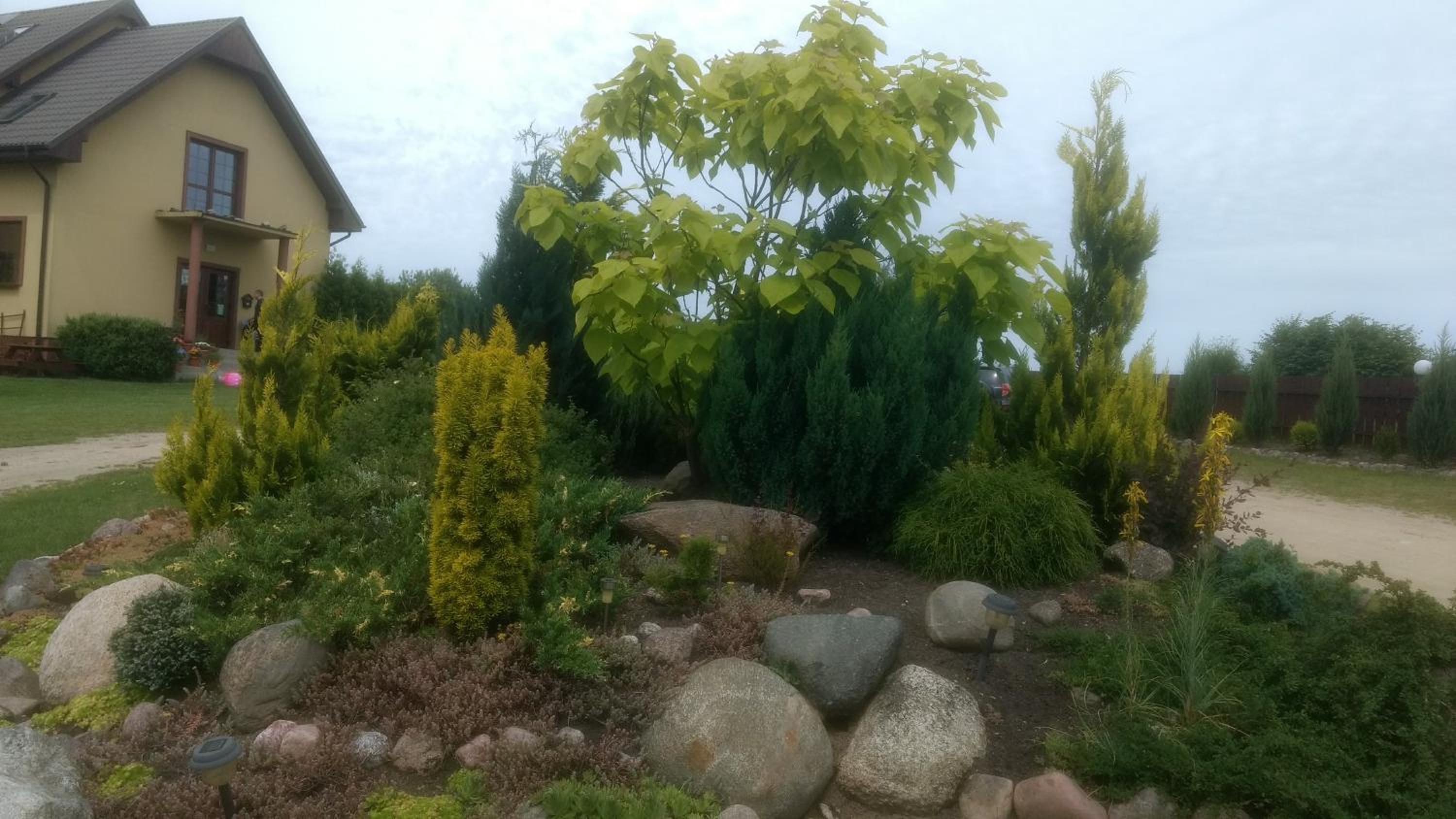 Photo 41
