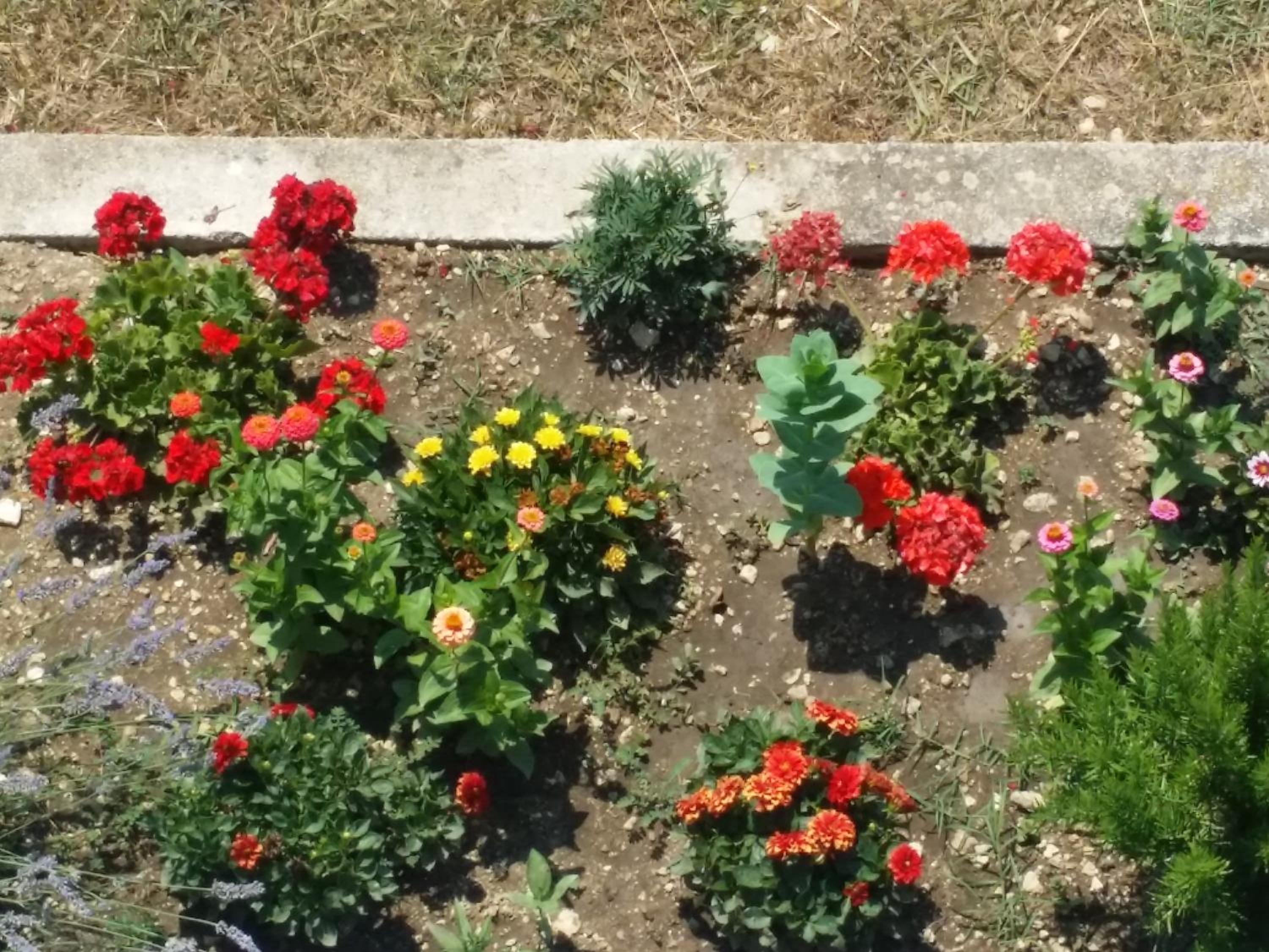 Photo 15