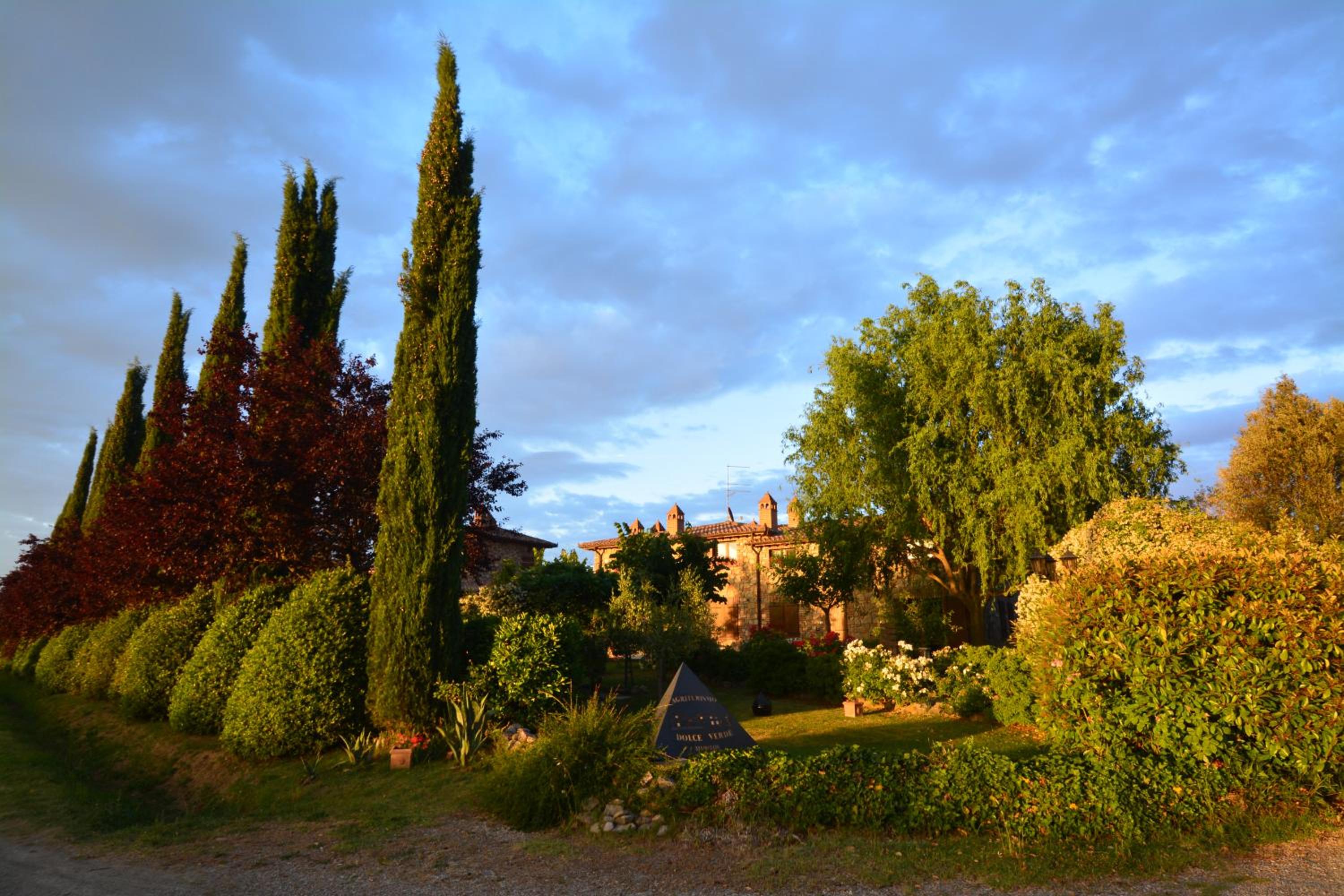 Photo 33