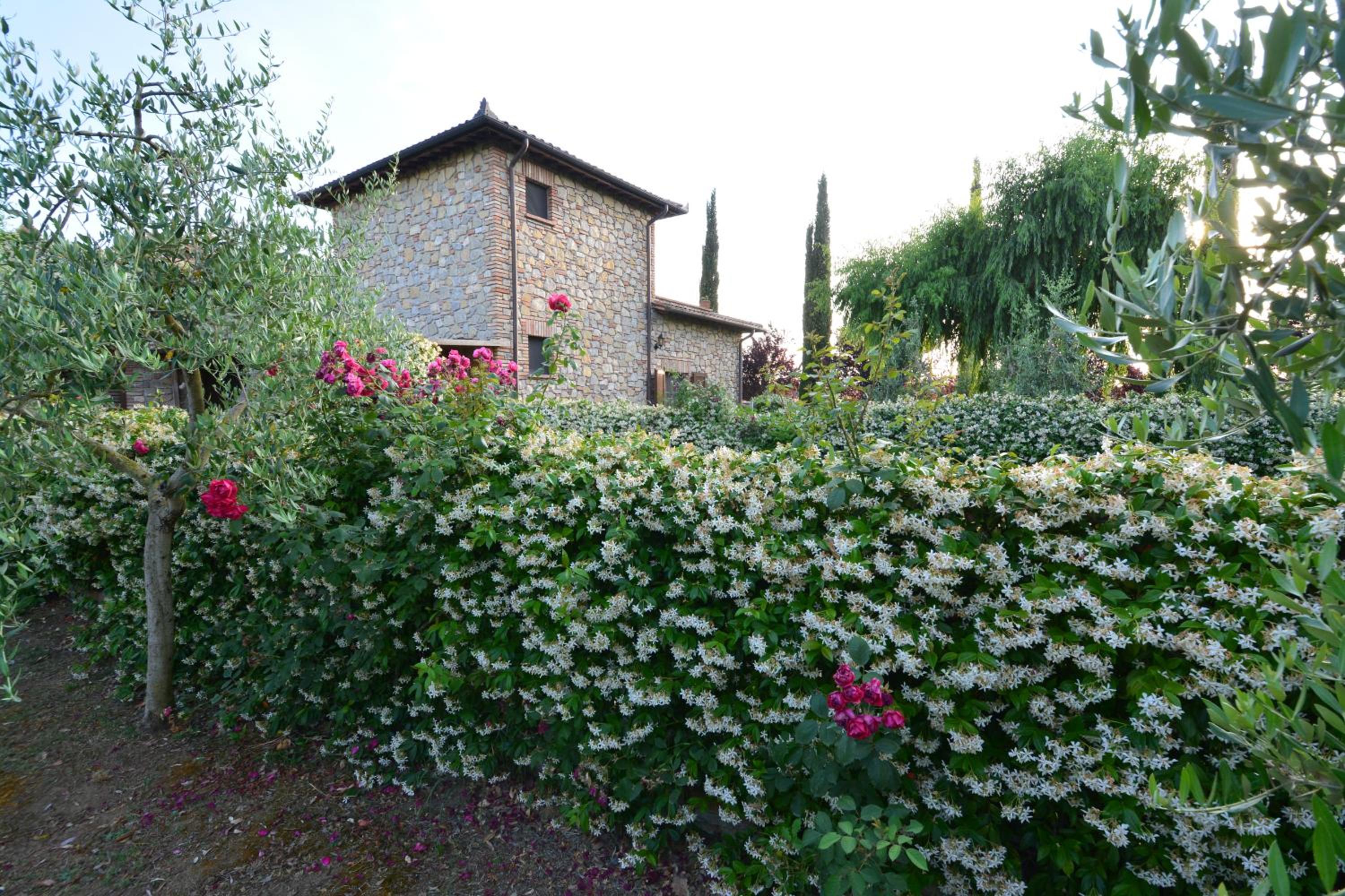 Photo 40