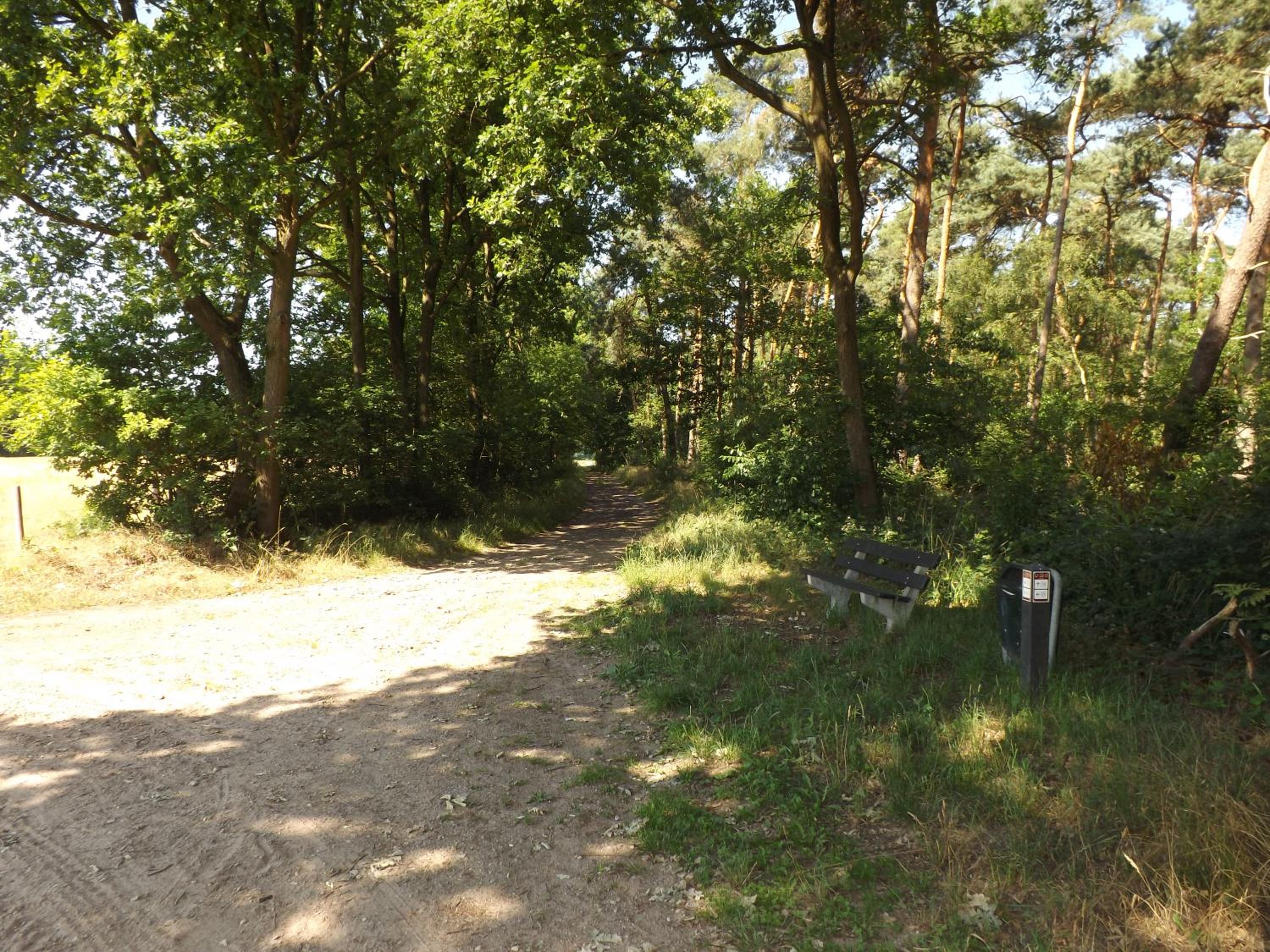 Photo 17