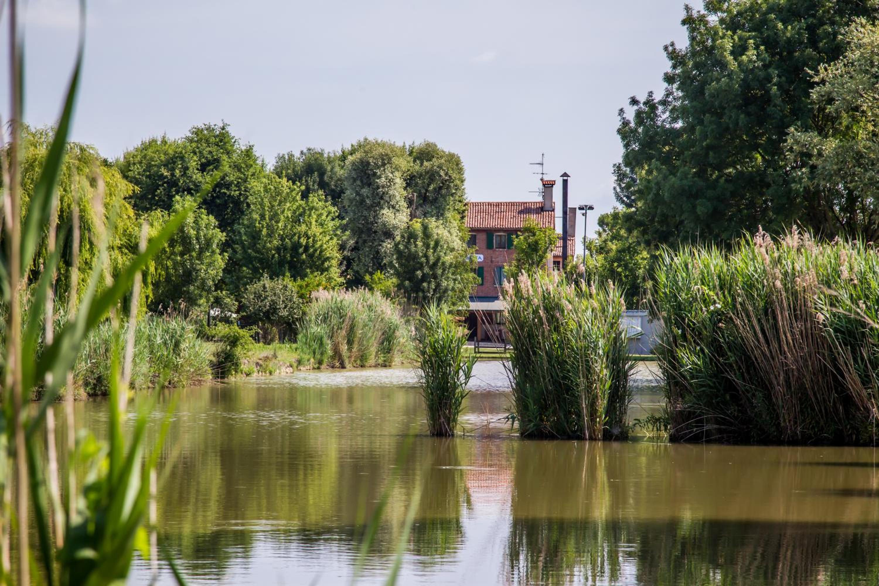 Agriturismo Ca' Alleata view 4