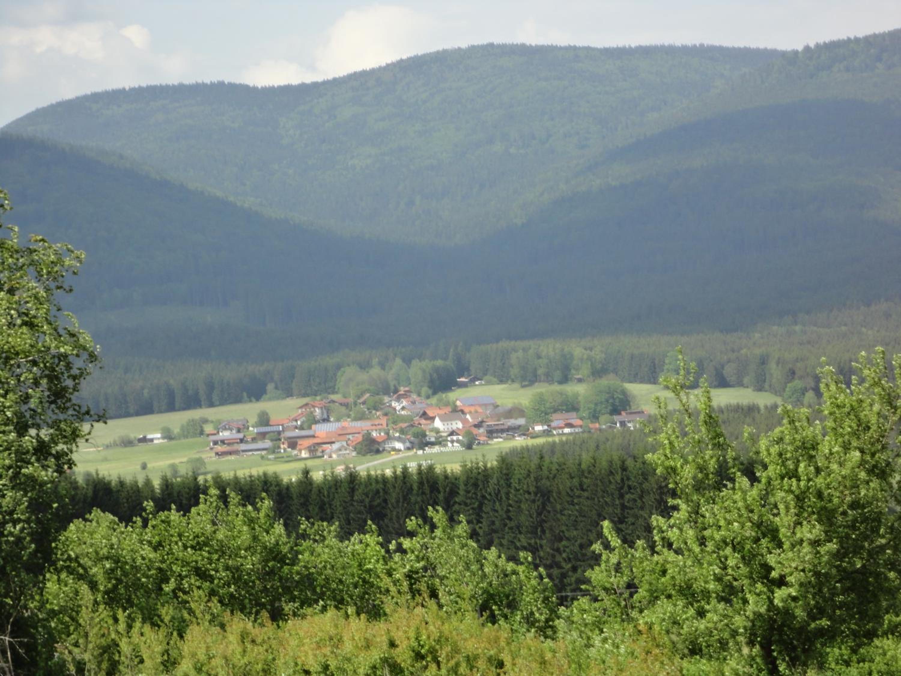 Landgasthof Brandtner Wirt - Property Image 37