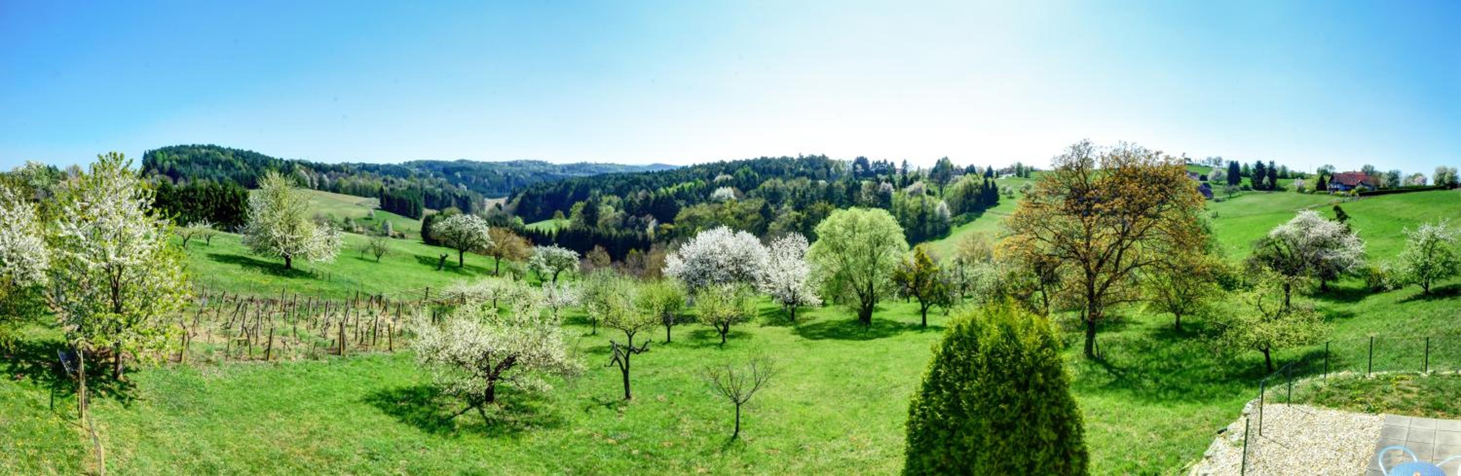 Golf & Thermenland Sonnenpension Frühstückshotel Burgauberg Stegersbach