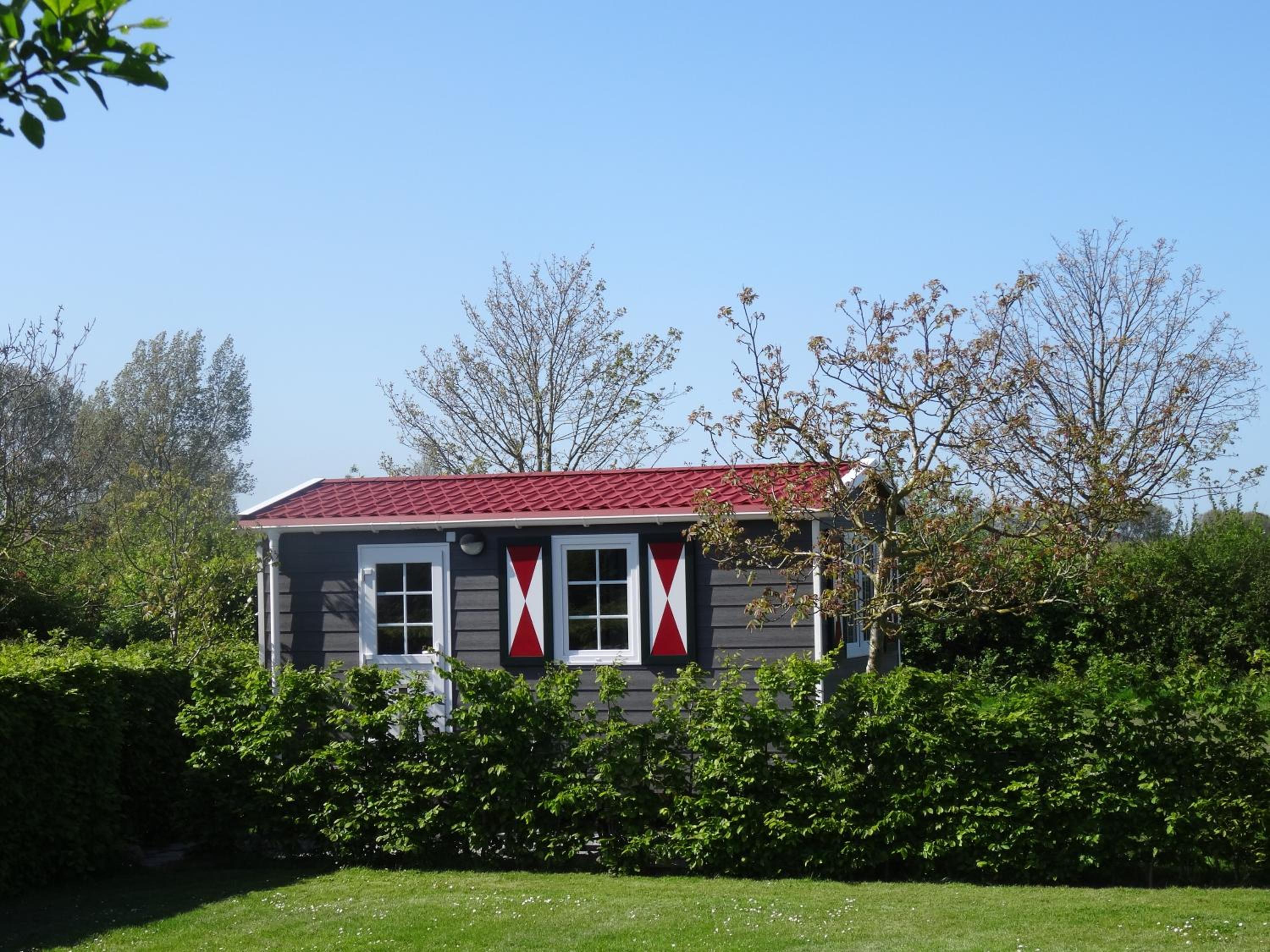 Photo 11