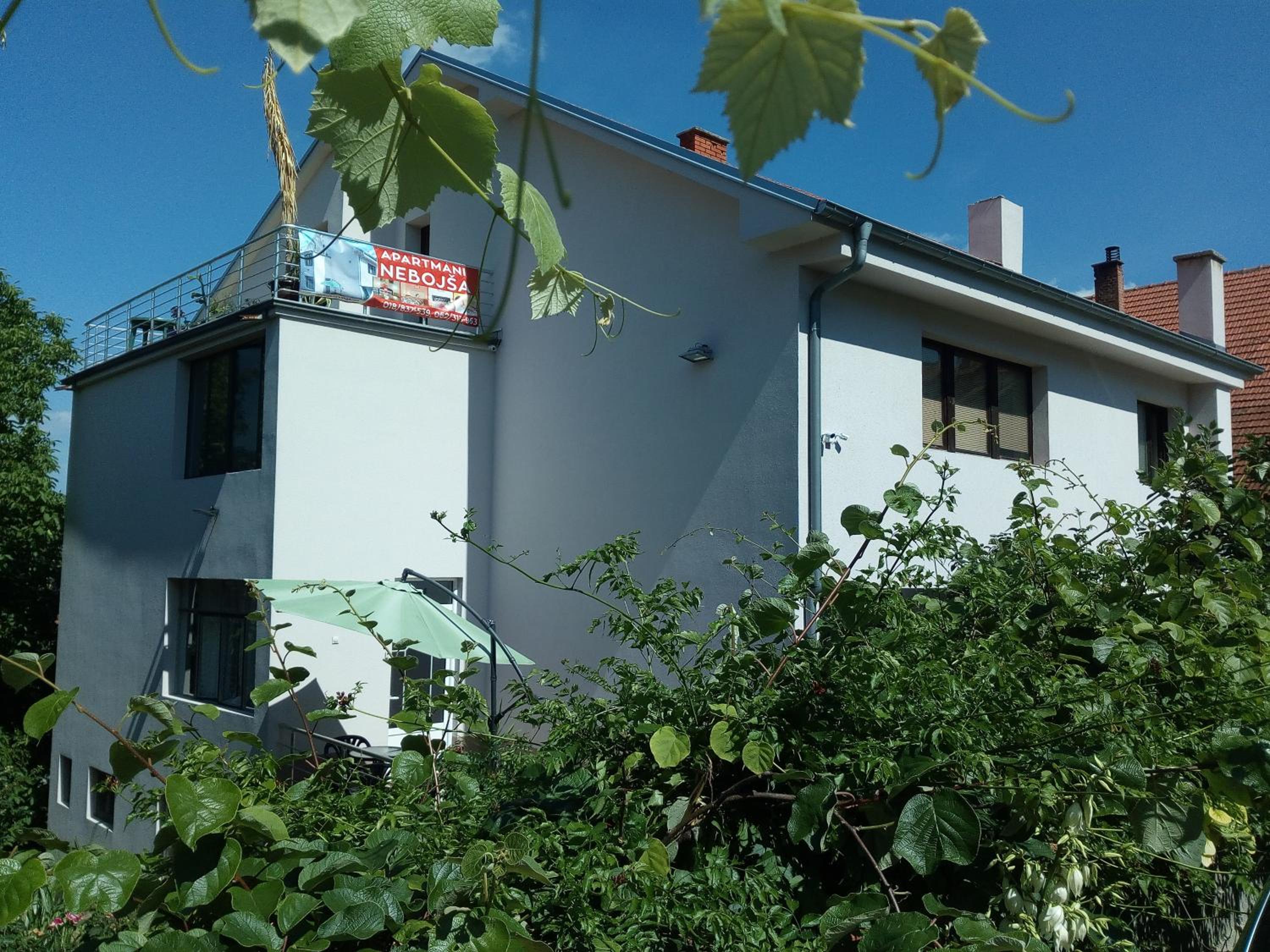 Photo 46