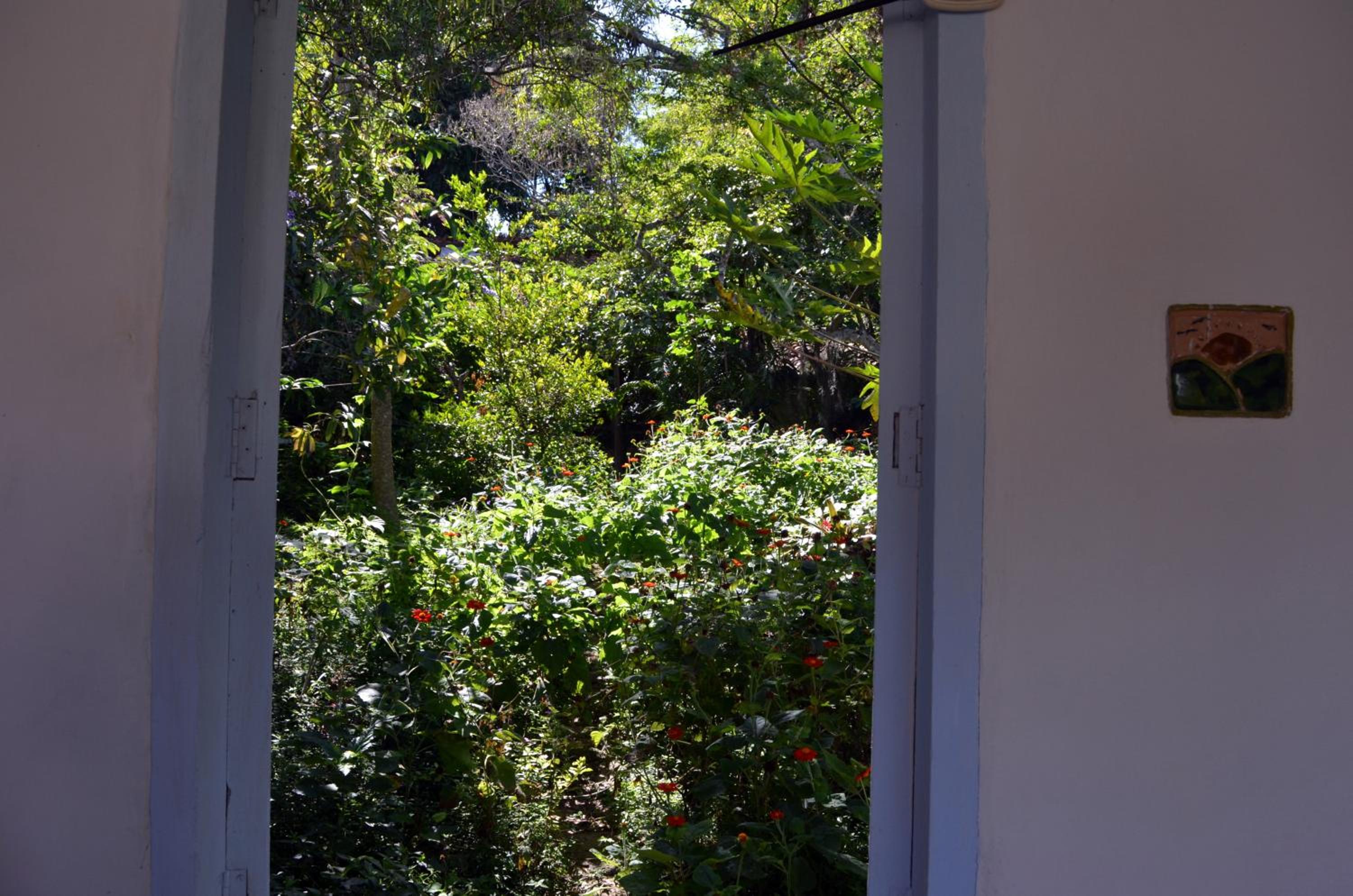 Photo 26