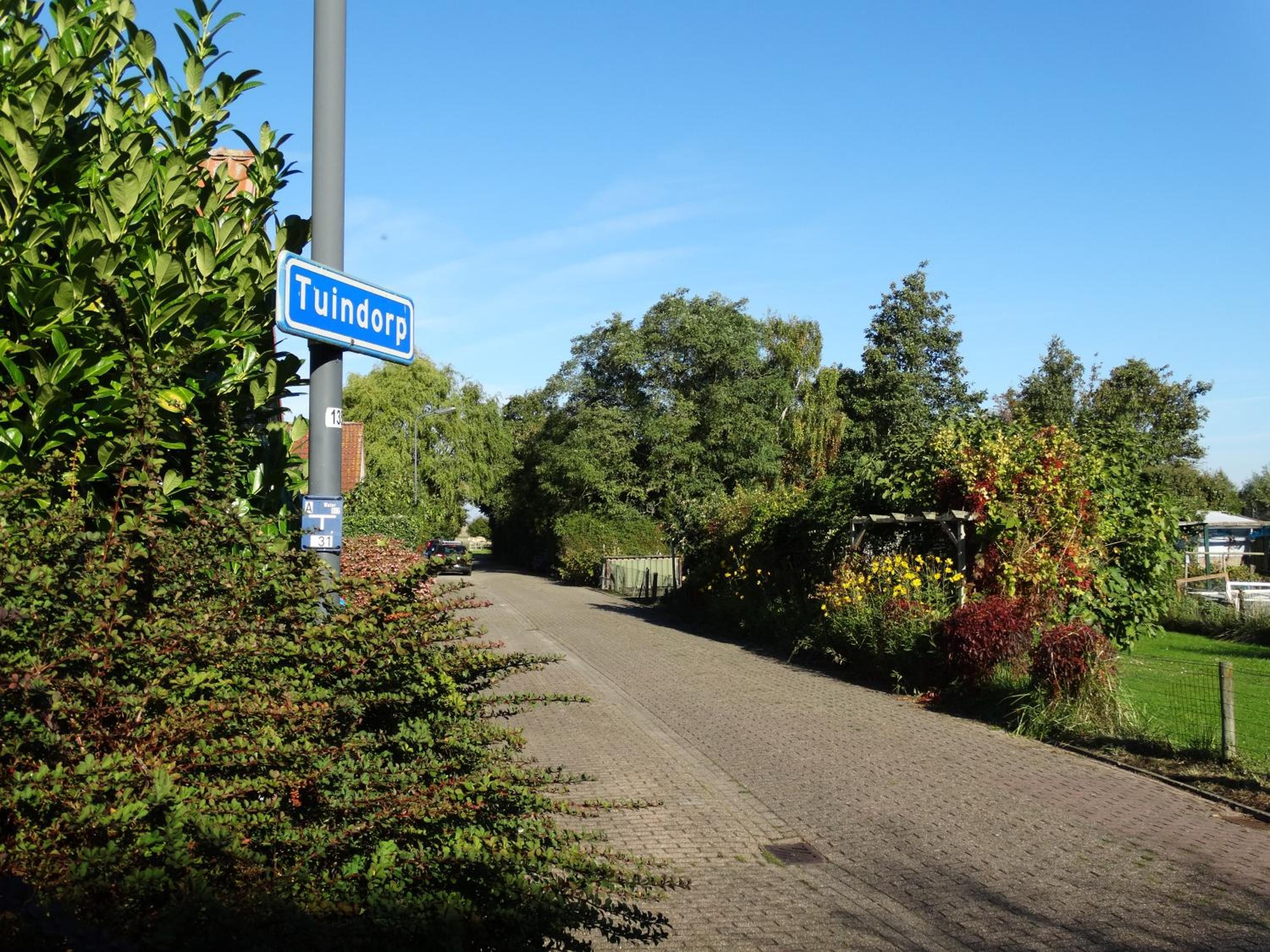 Photo 13