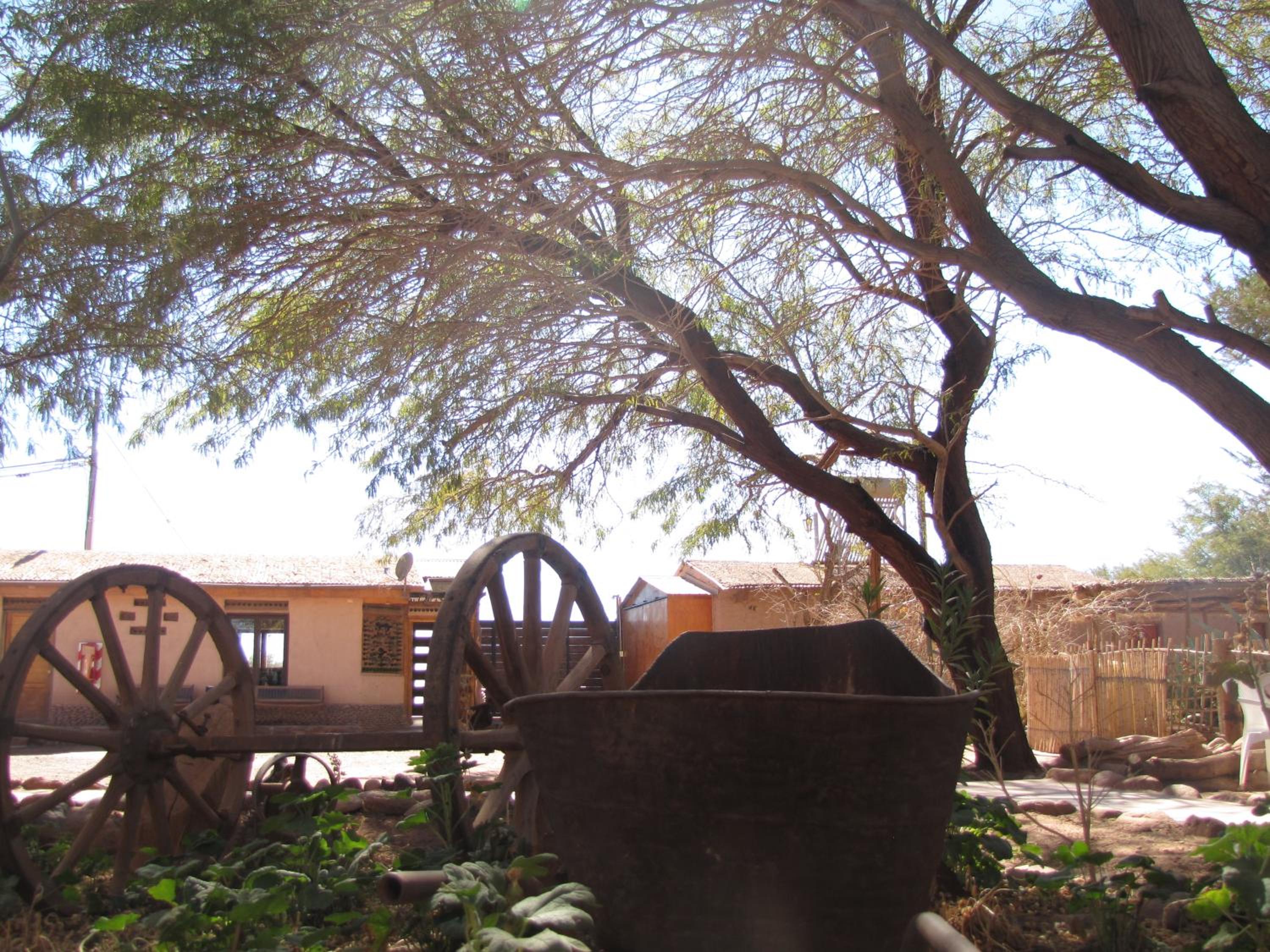 Hotel-Camping Takha Takha