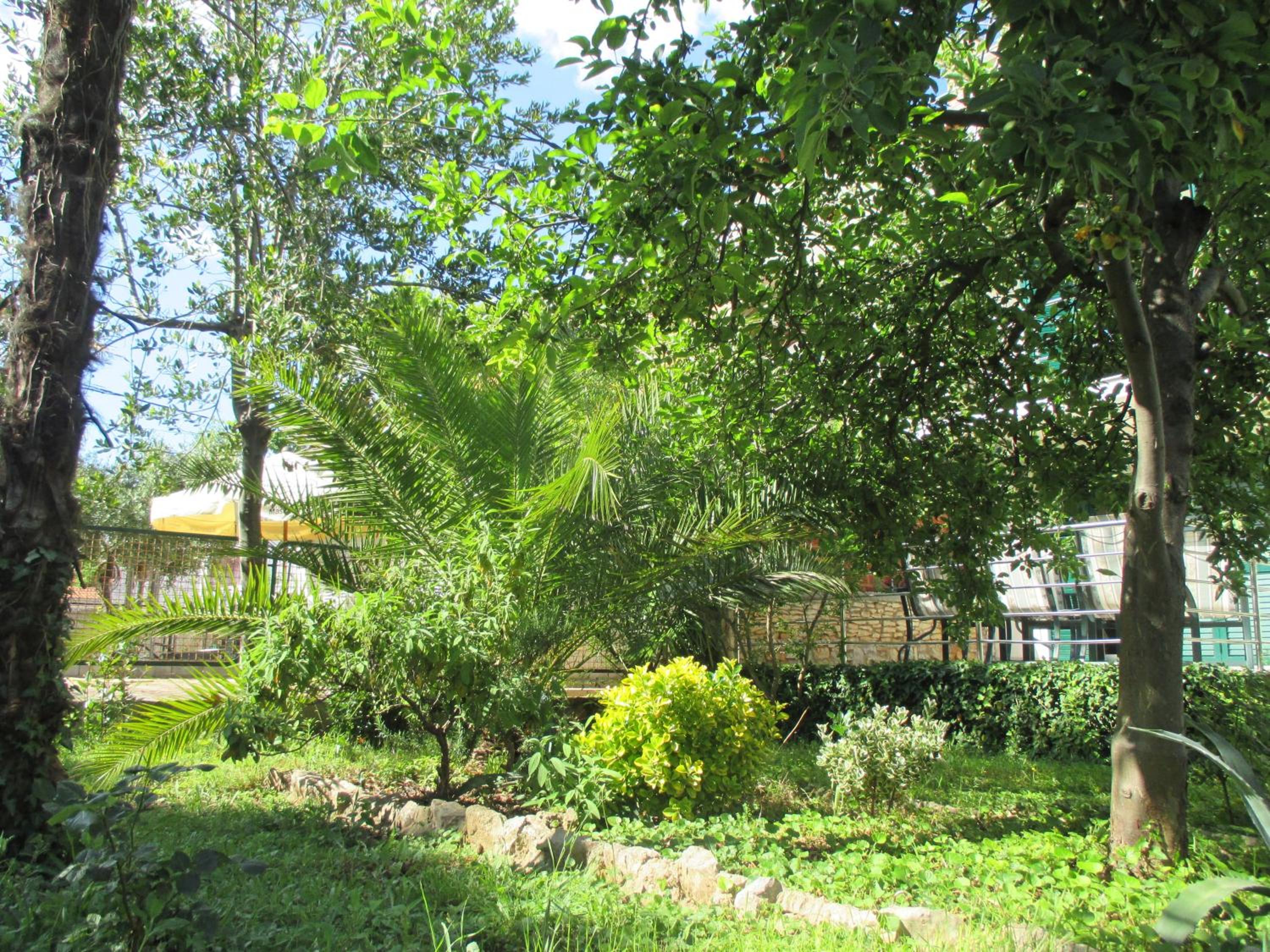 Photo 36