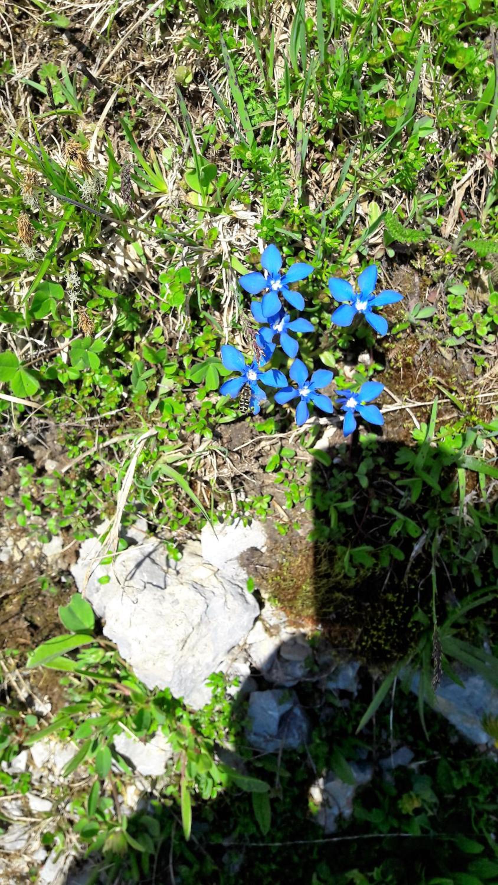 Photo 17