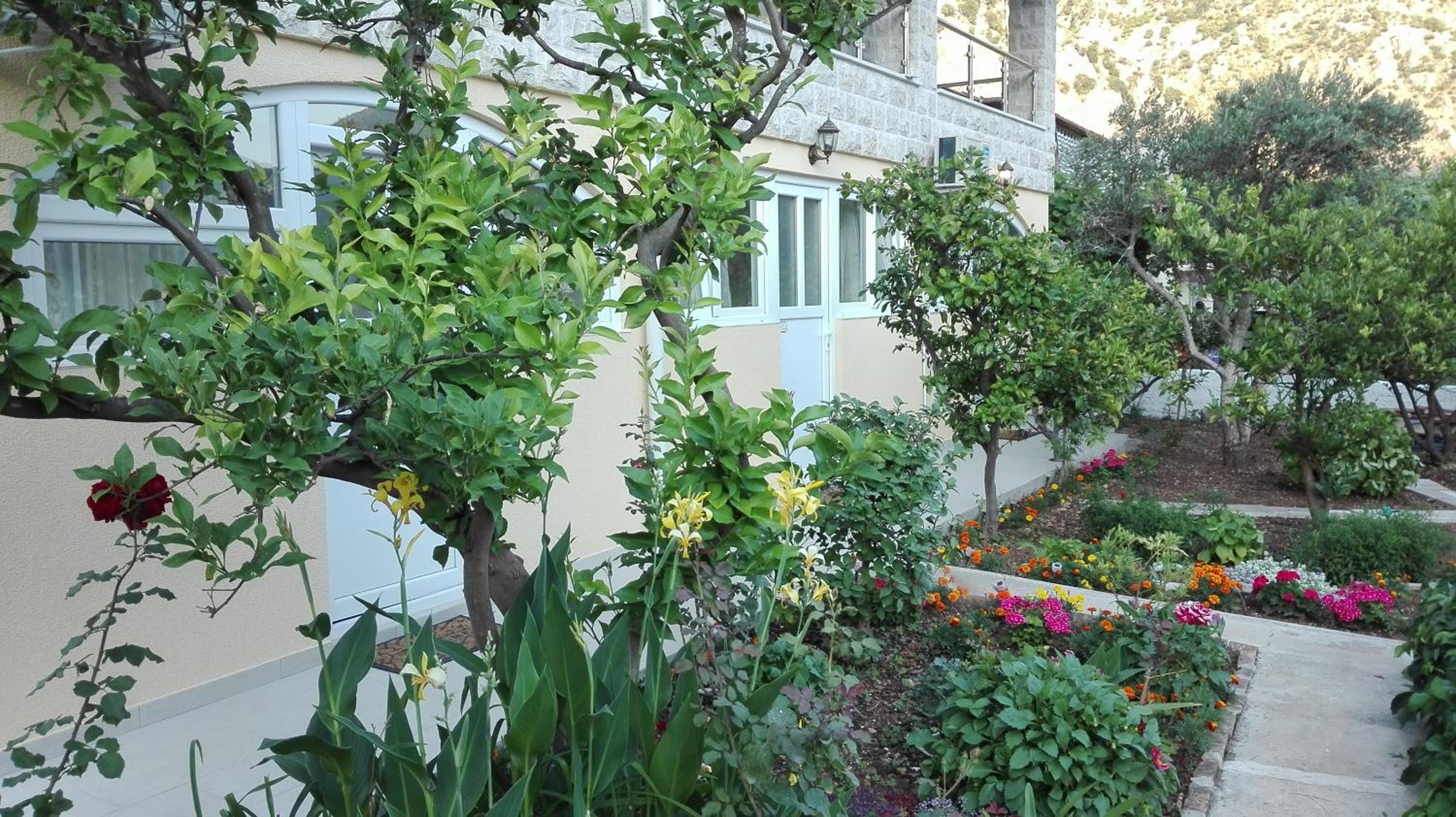 Photo 8