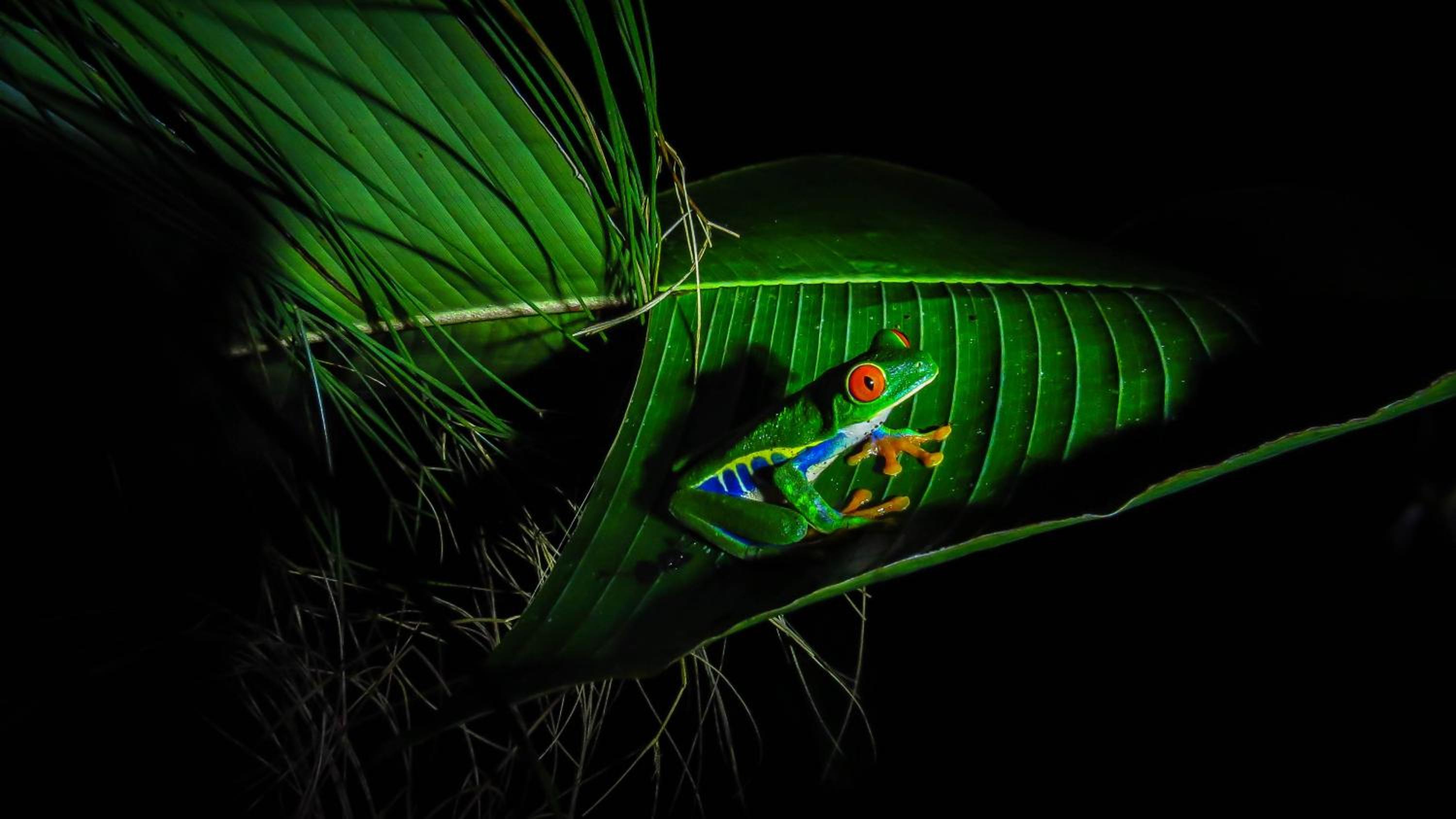 Arenal Observatory Lodge & Trails