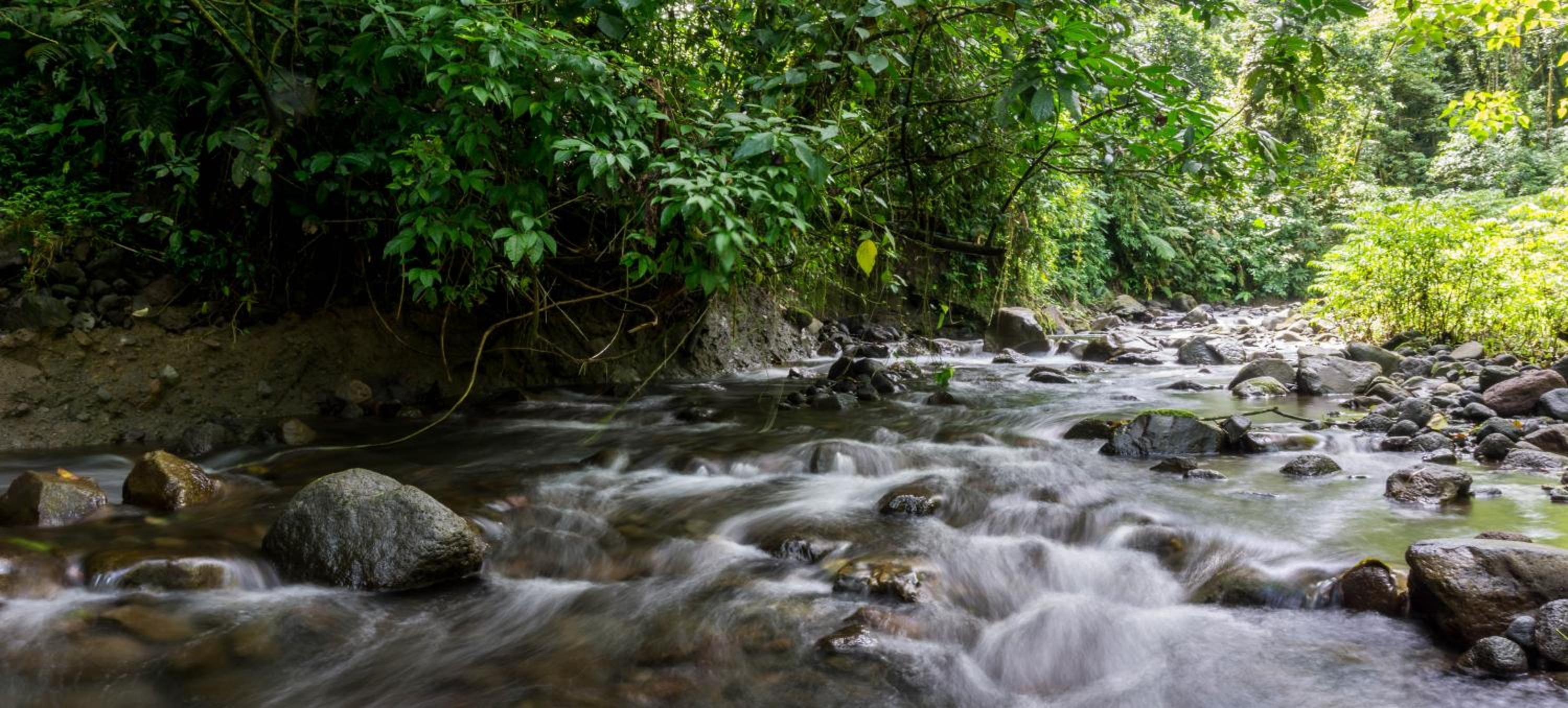 Arenal Observatory Lodge & Trails