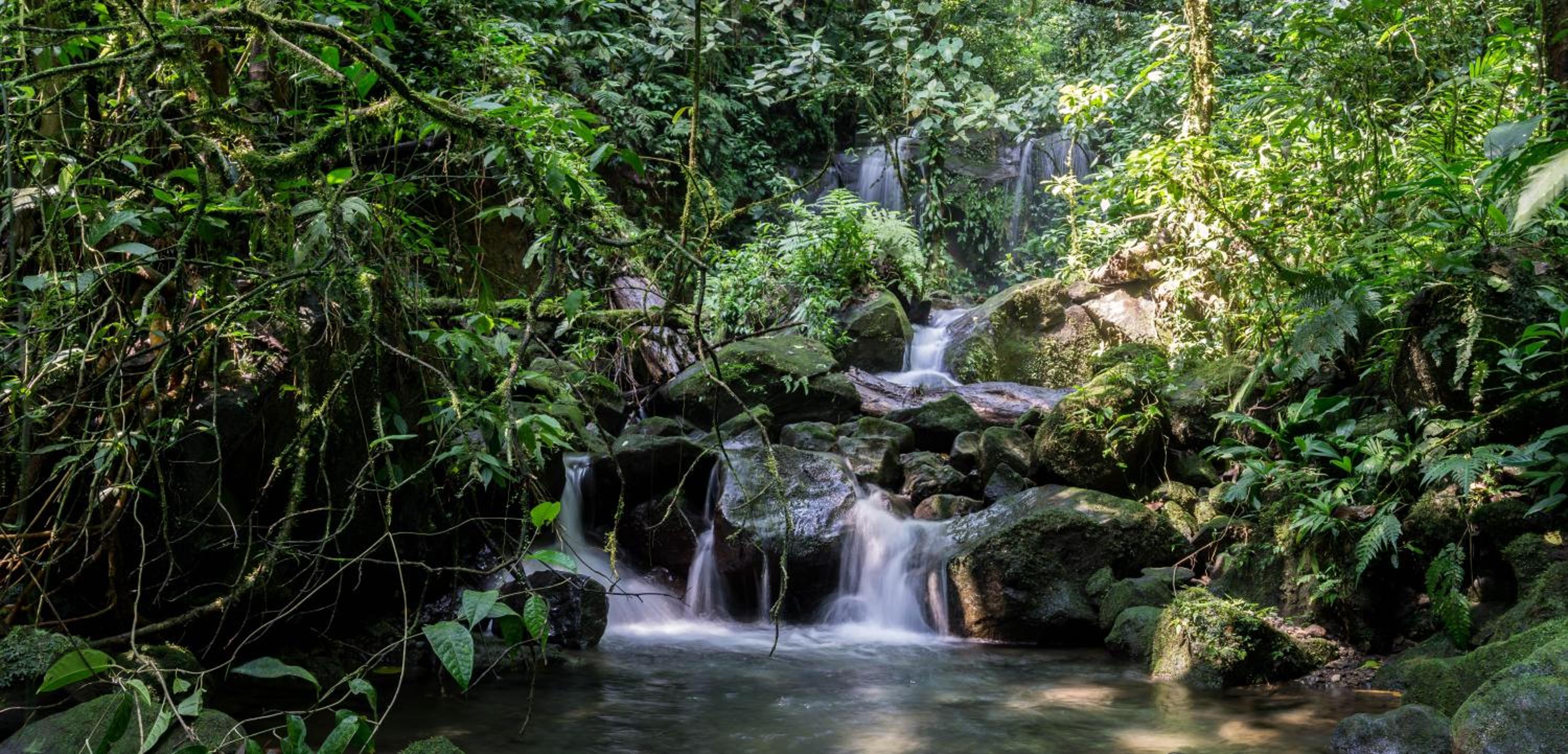 Arenal Observatory Lodge & Trails