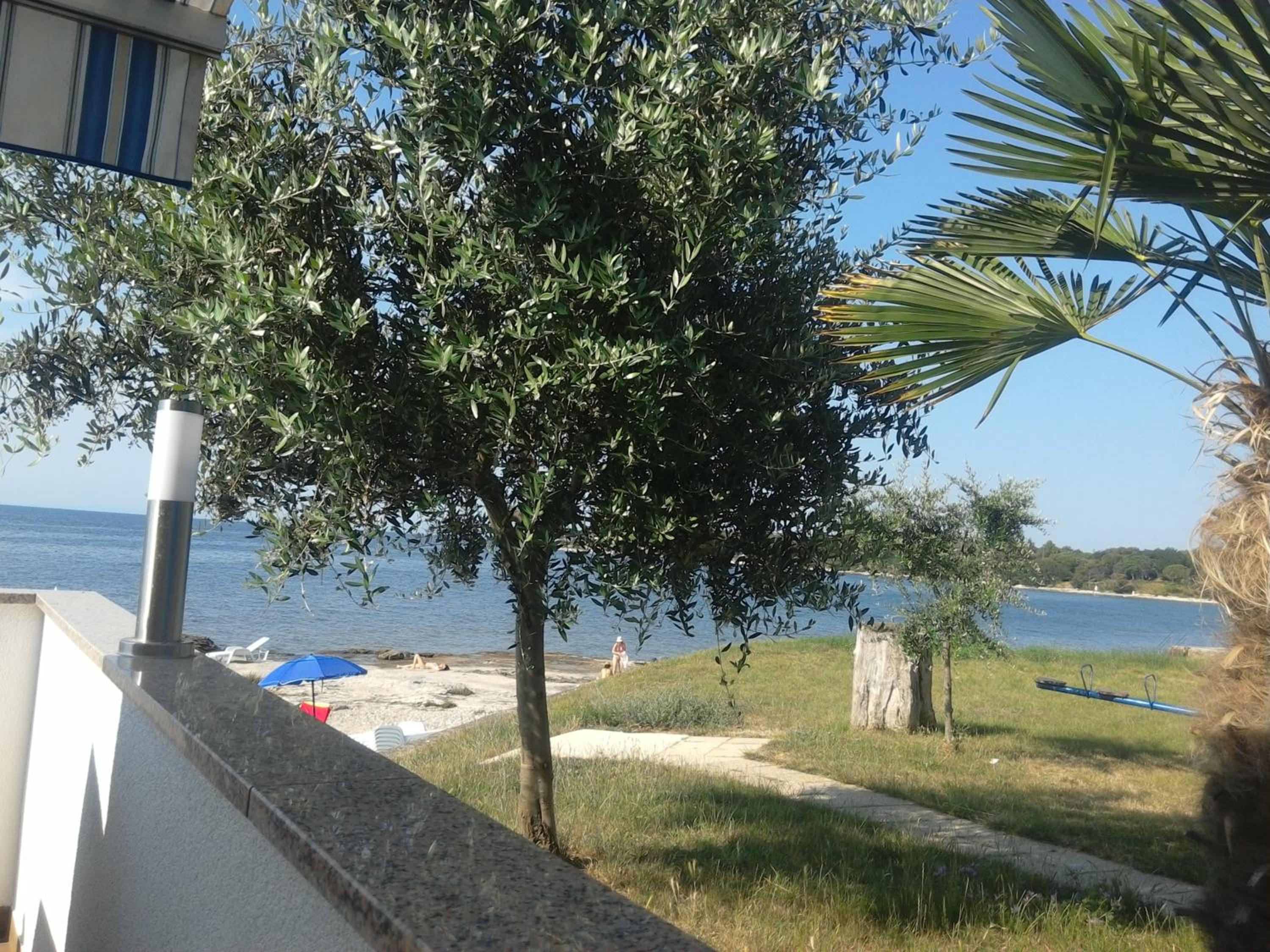 Apartments Ivas