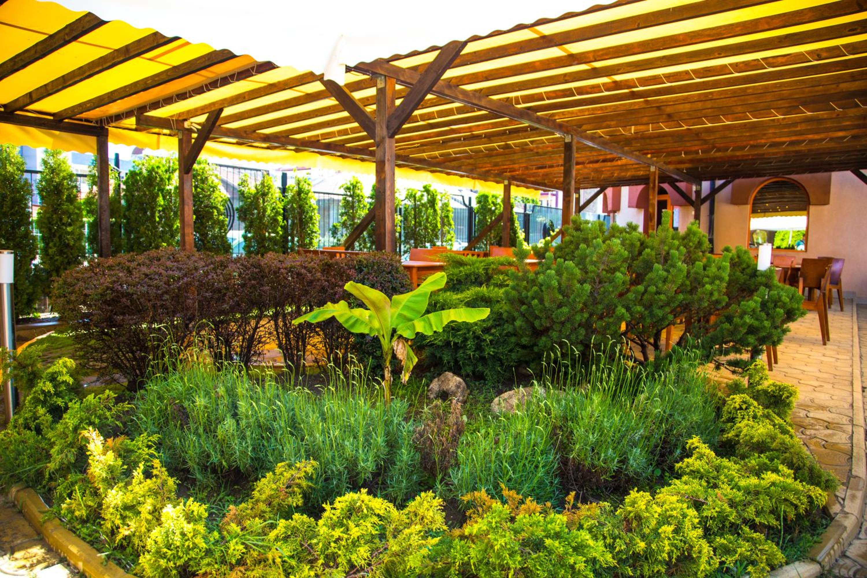 garden