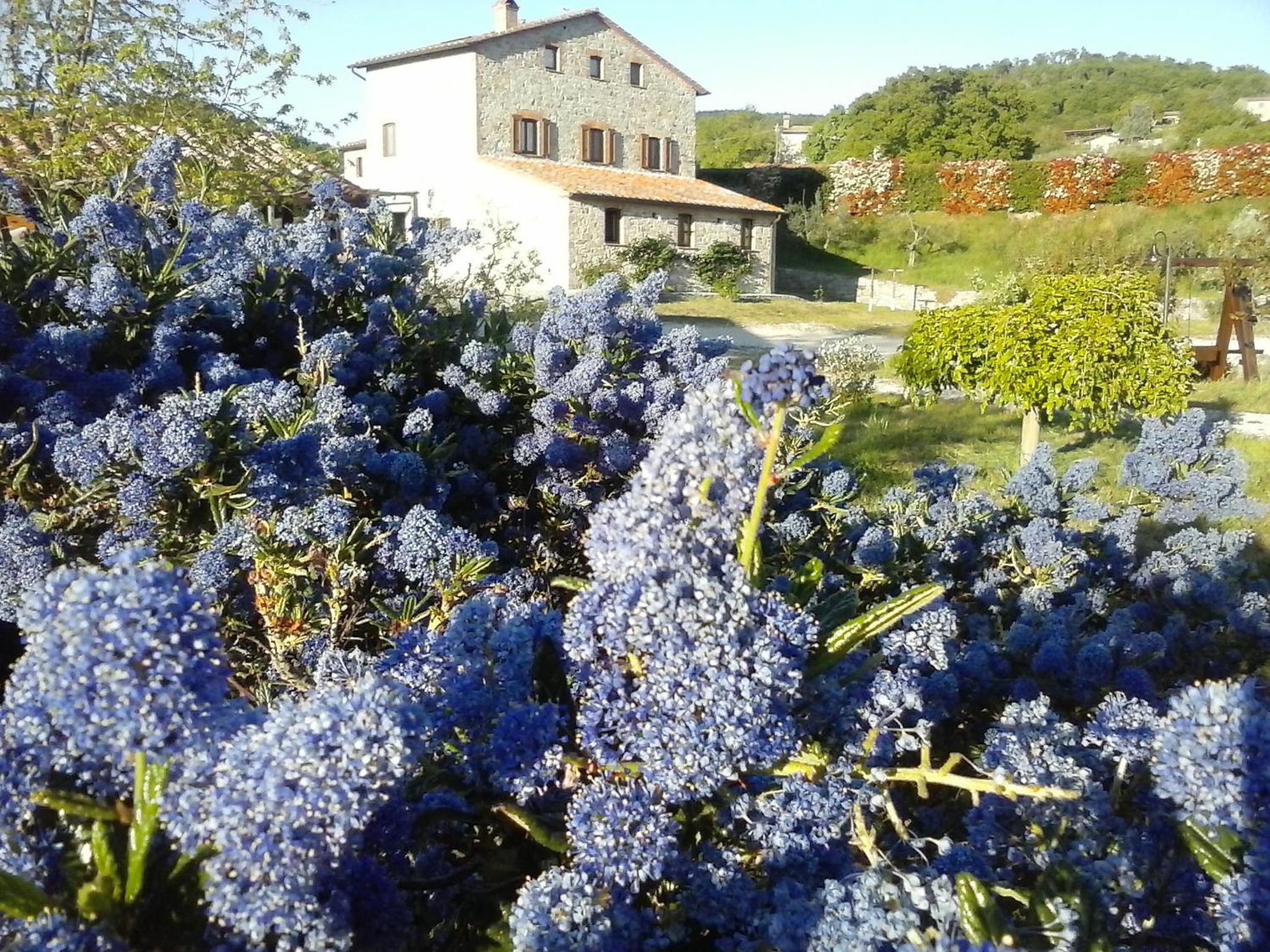 Agriturismo Valiana view 3