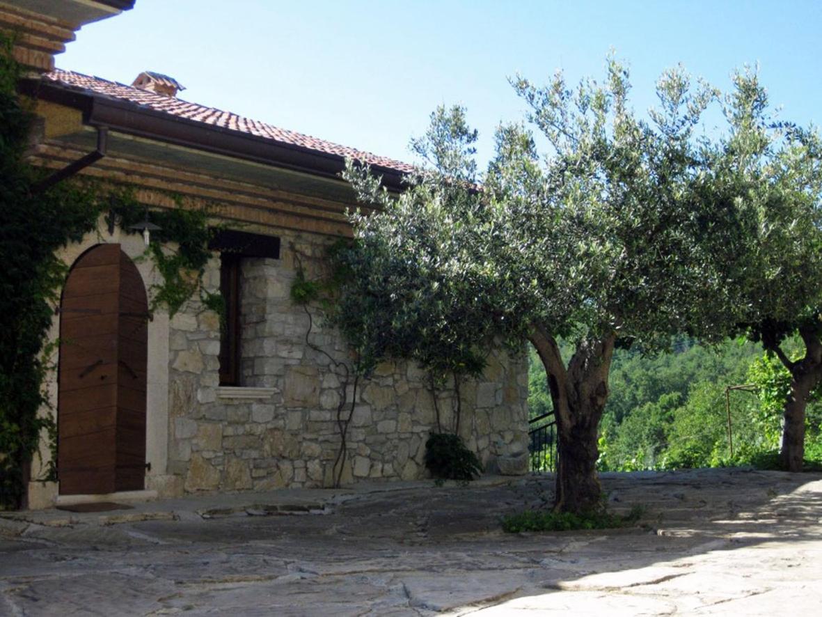 Agriturismo Olimpo