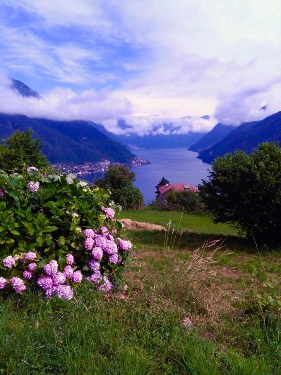 Maison de vacances Liliana — photo 4