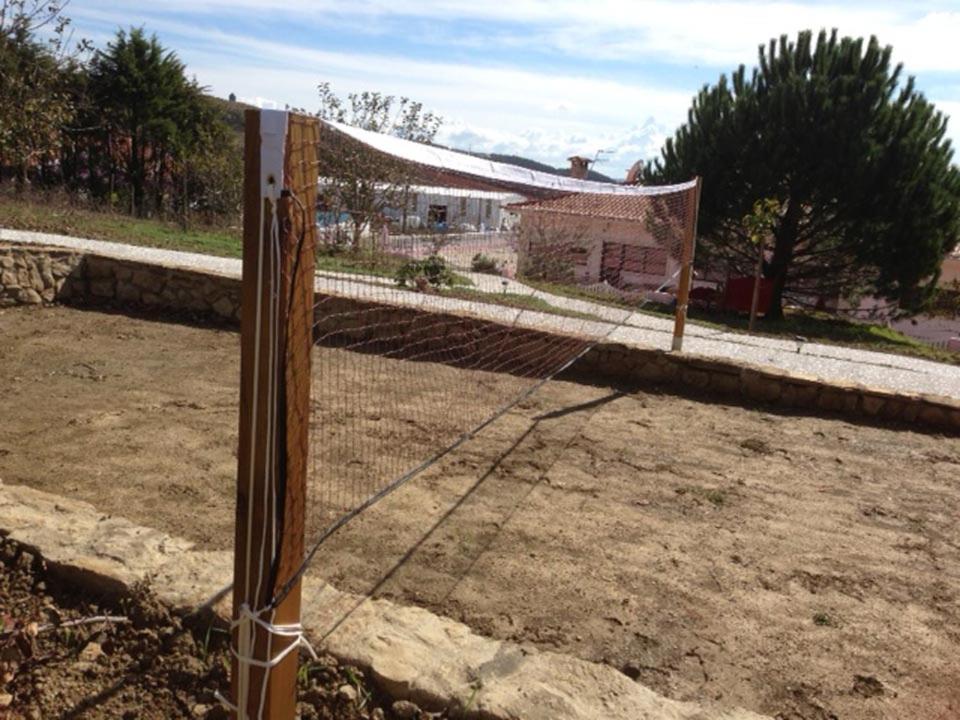 Photo 15
