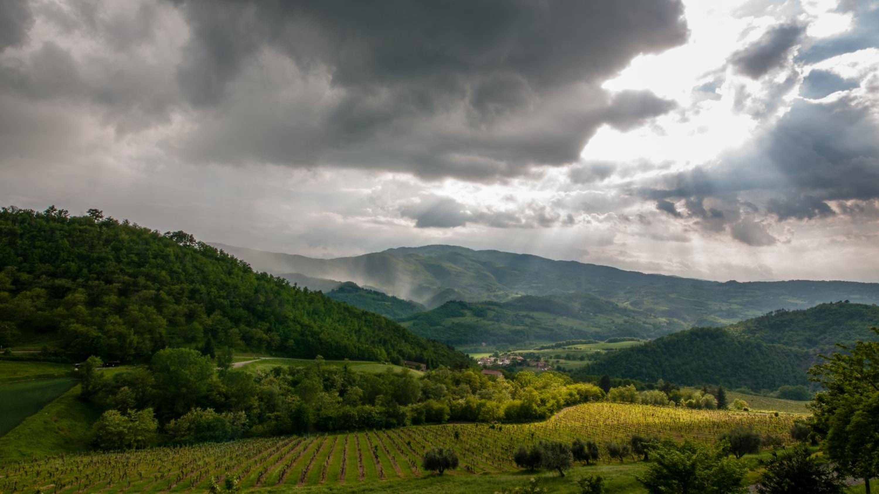 Fattoria Il Lago view 3