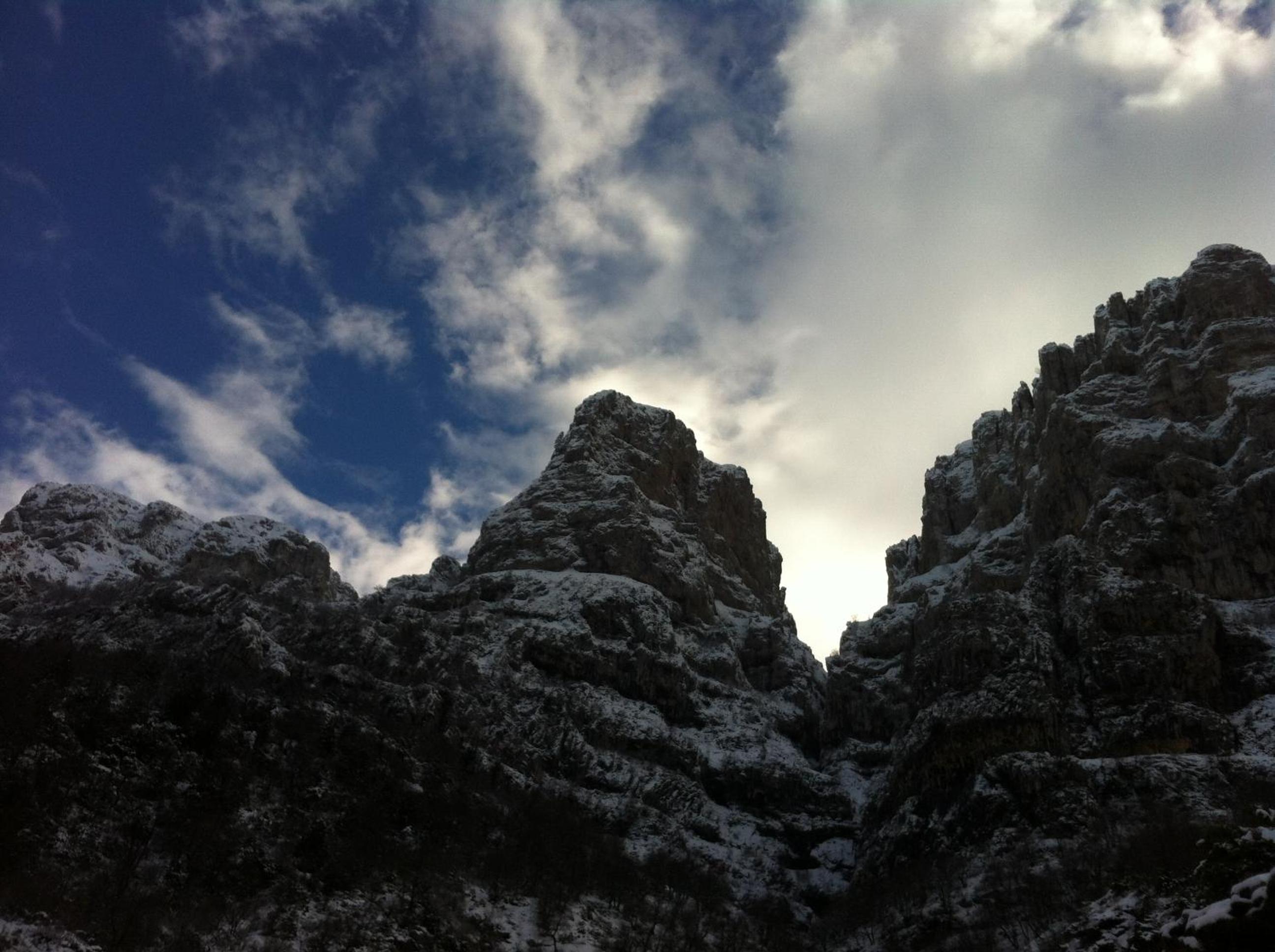 Photo 45