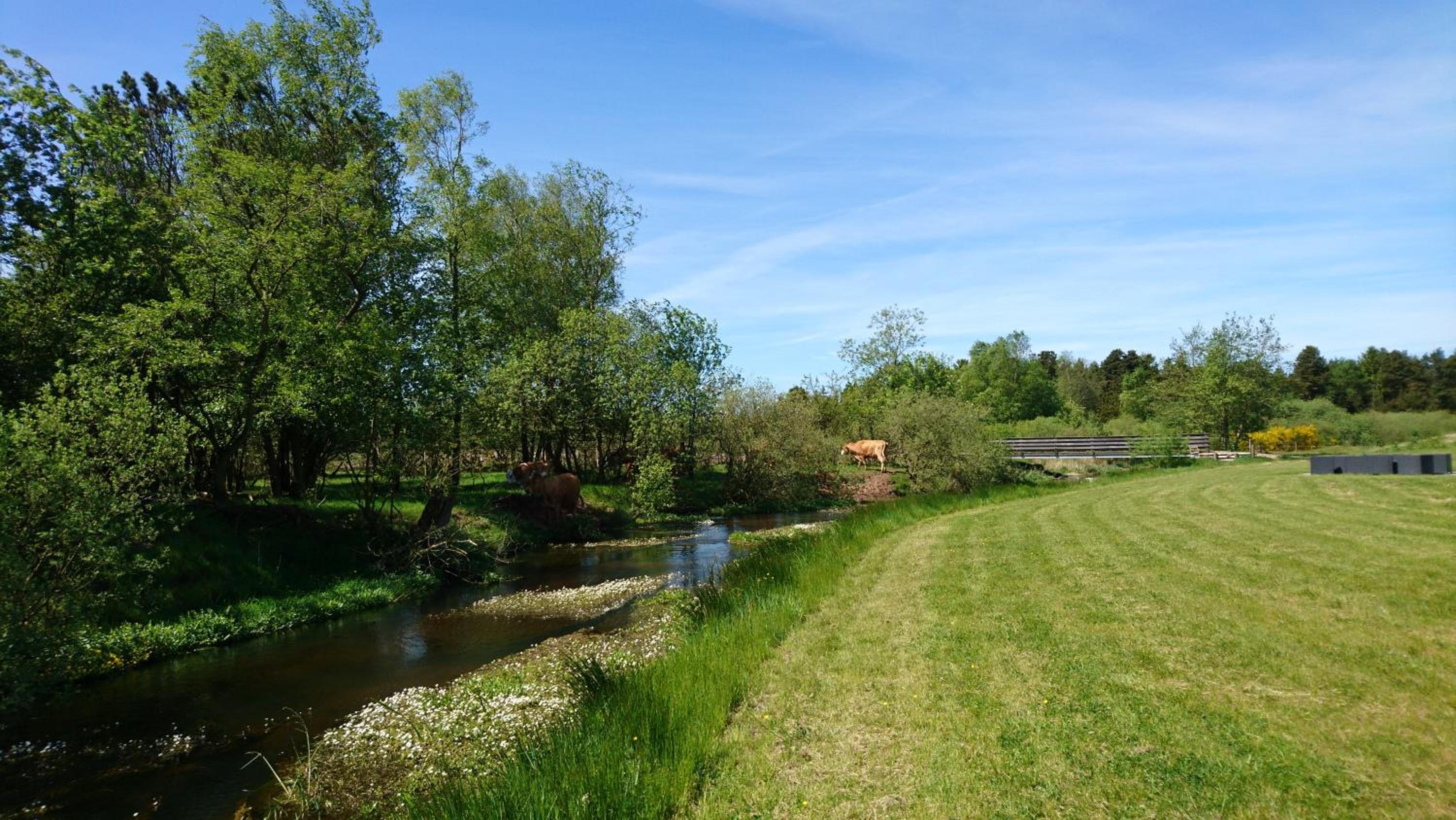 Aagaarden