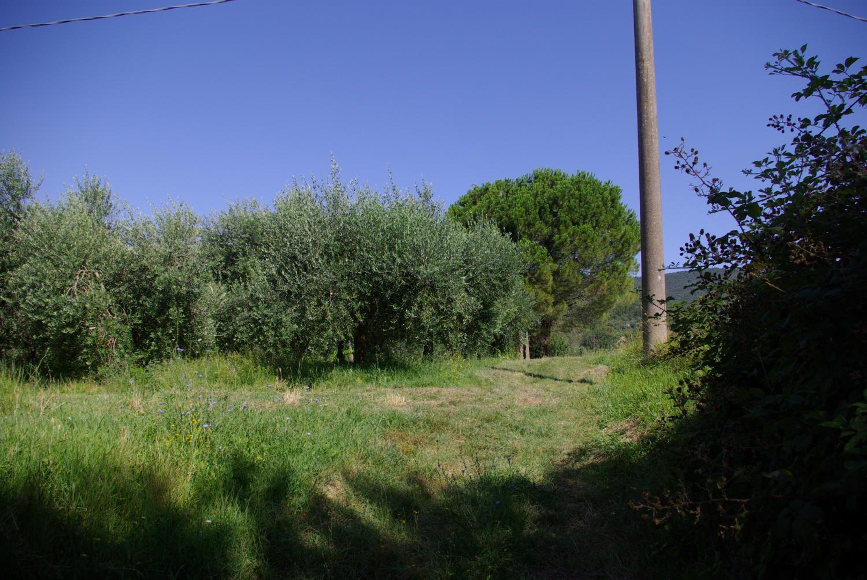 Photo 48