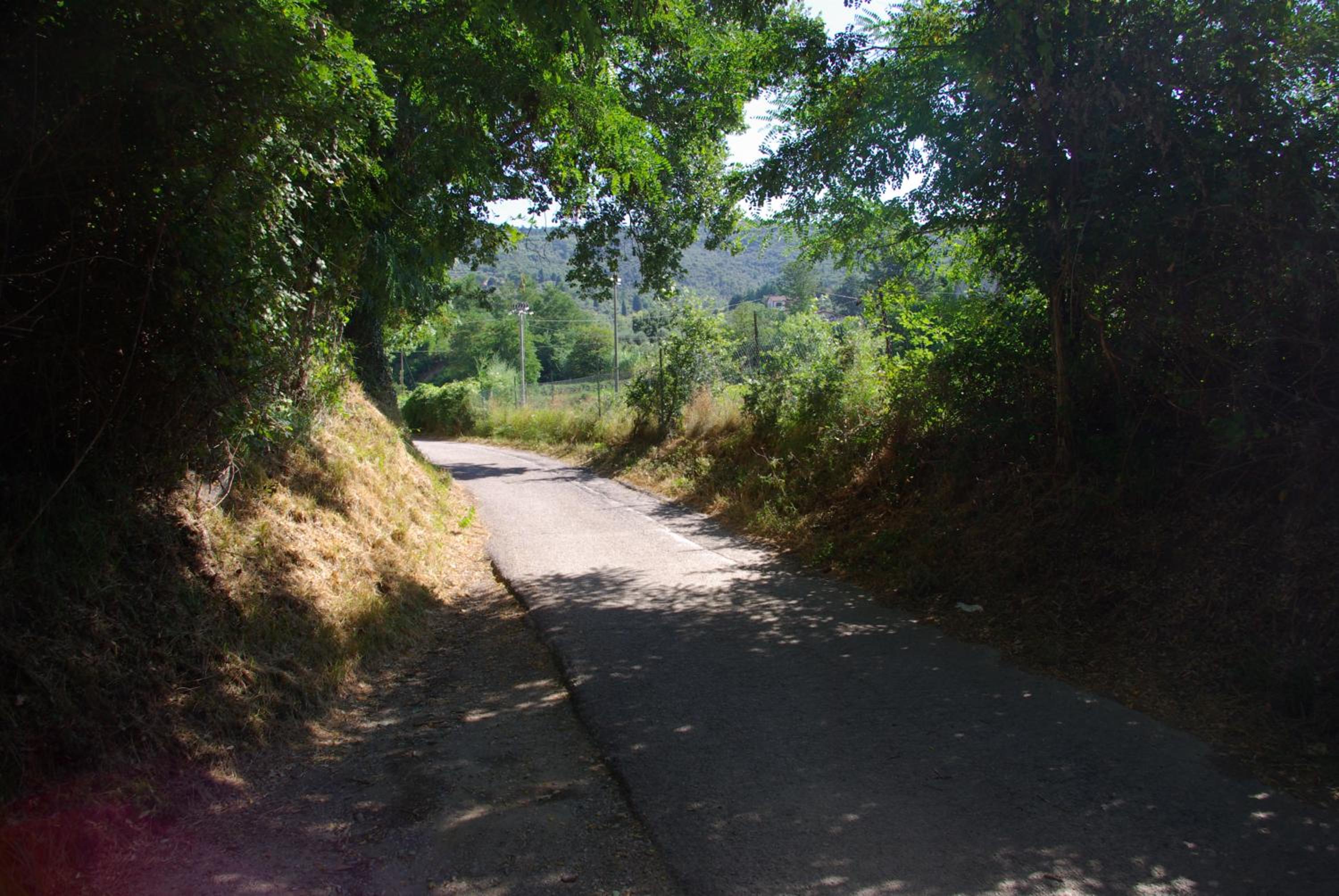Photo 49