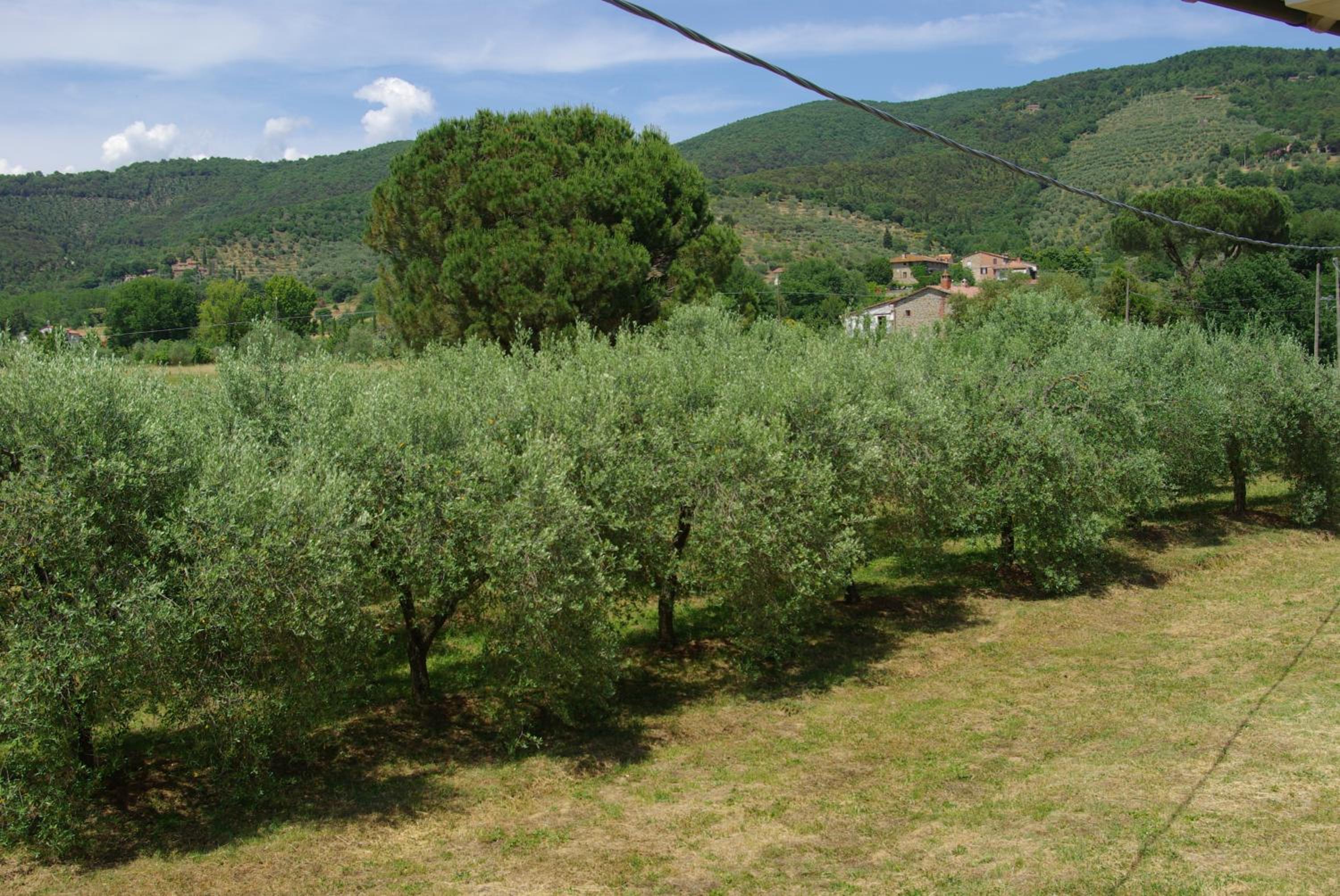 Photo 42