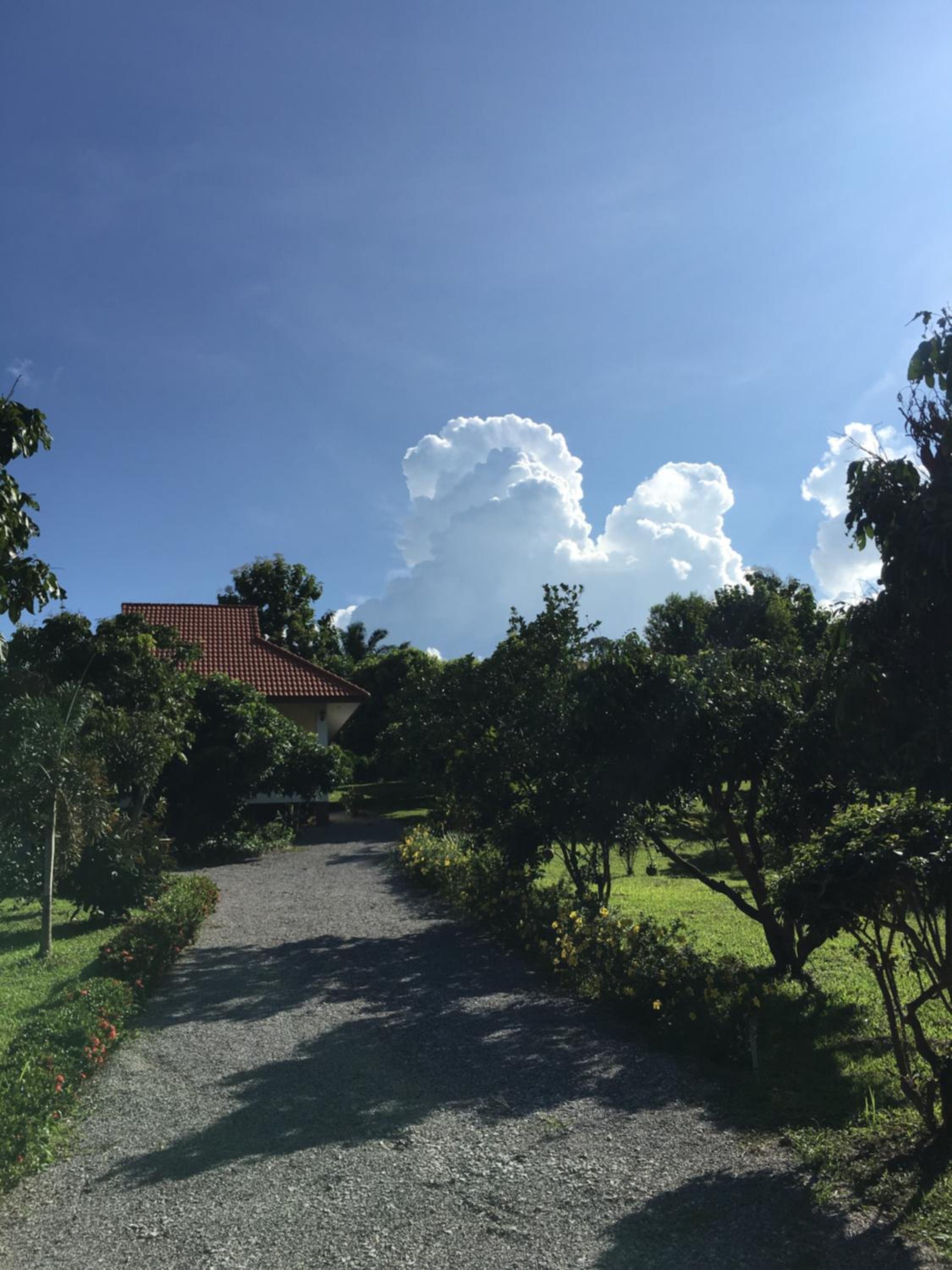 House of Garden