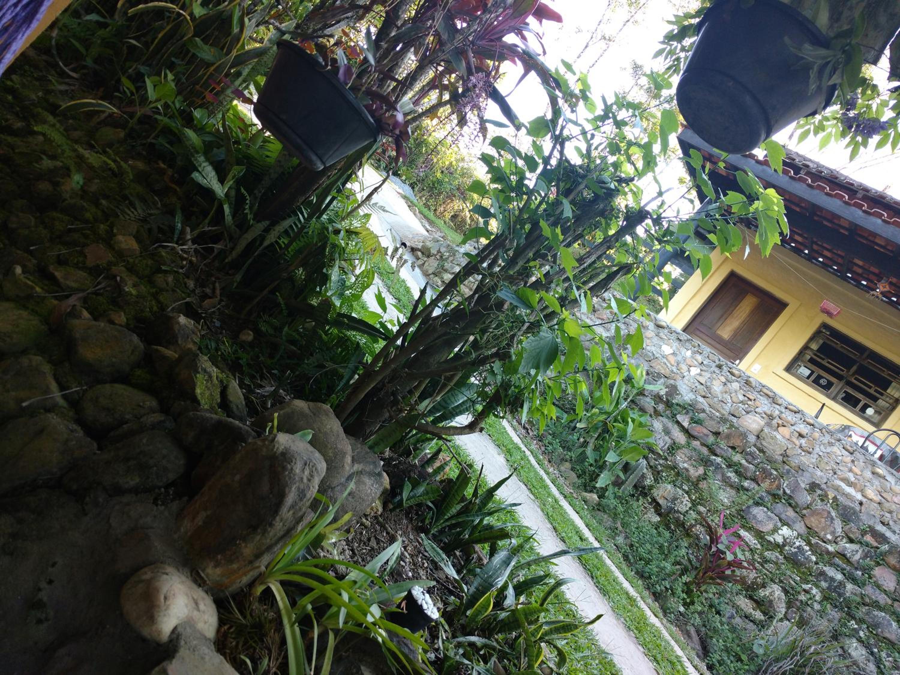 Photo 40