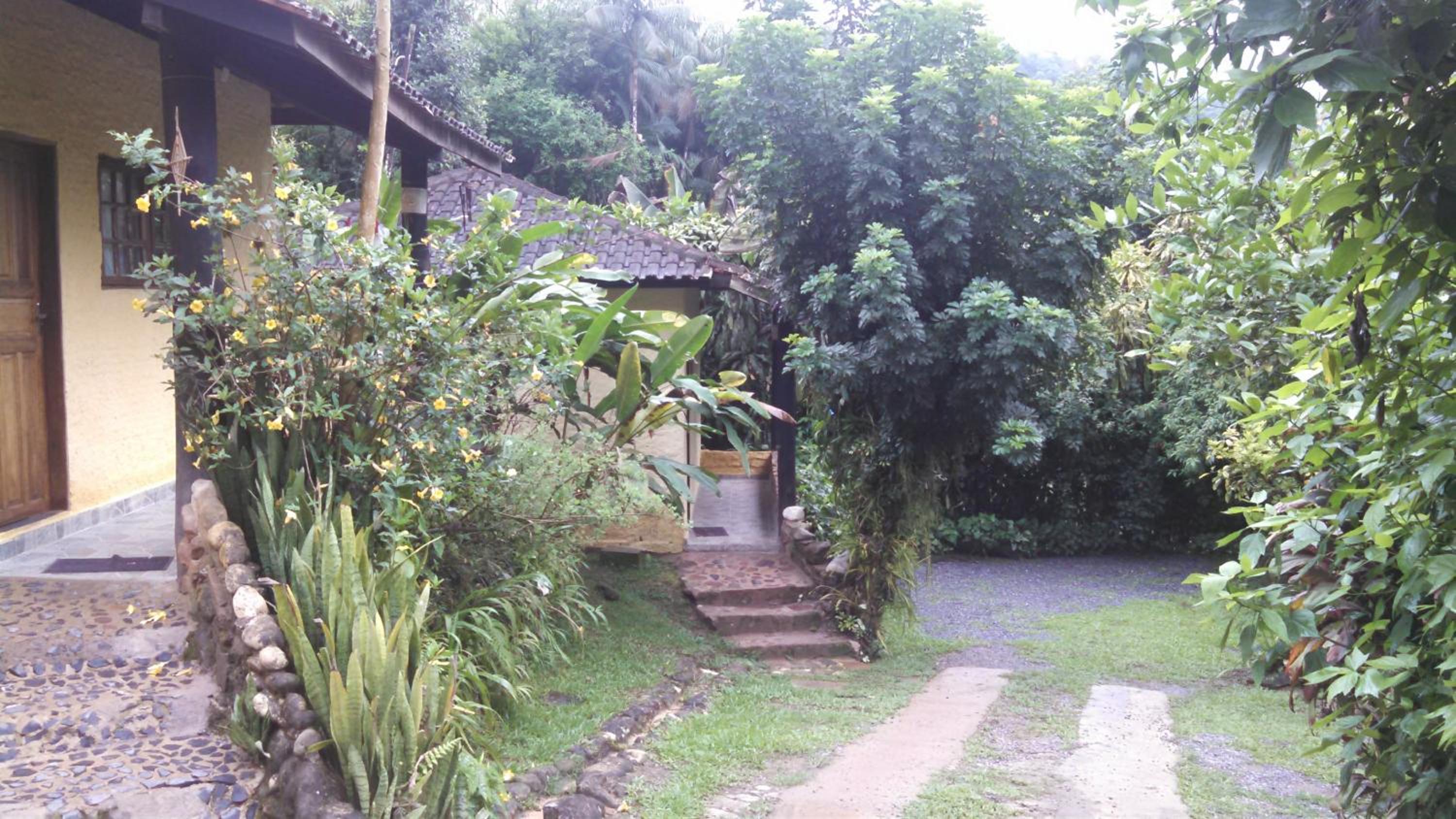 Photo 29