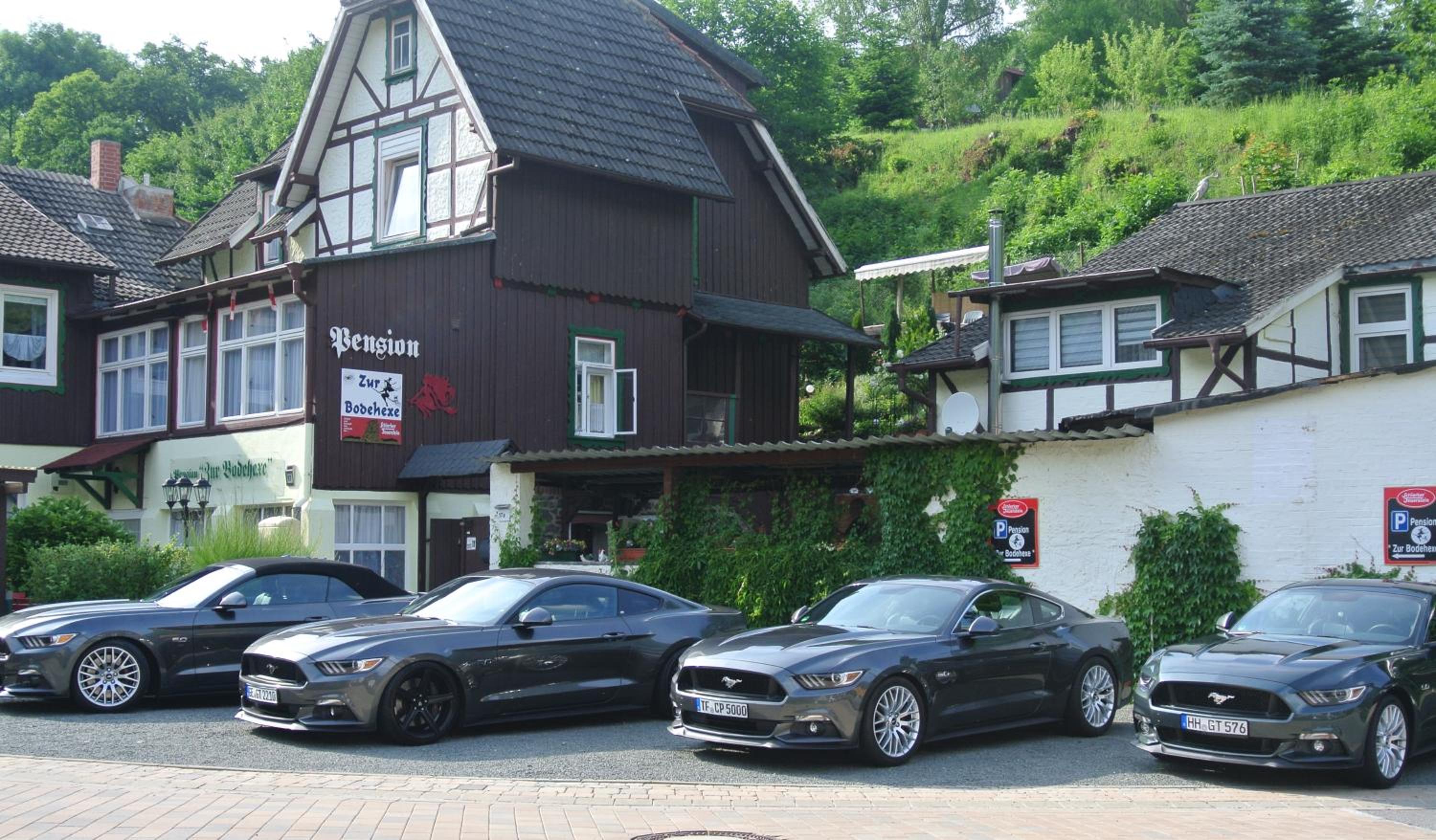 Ferienwohnungen Treseburg "Zur Bodehexe" view 3