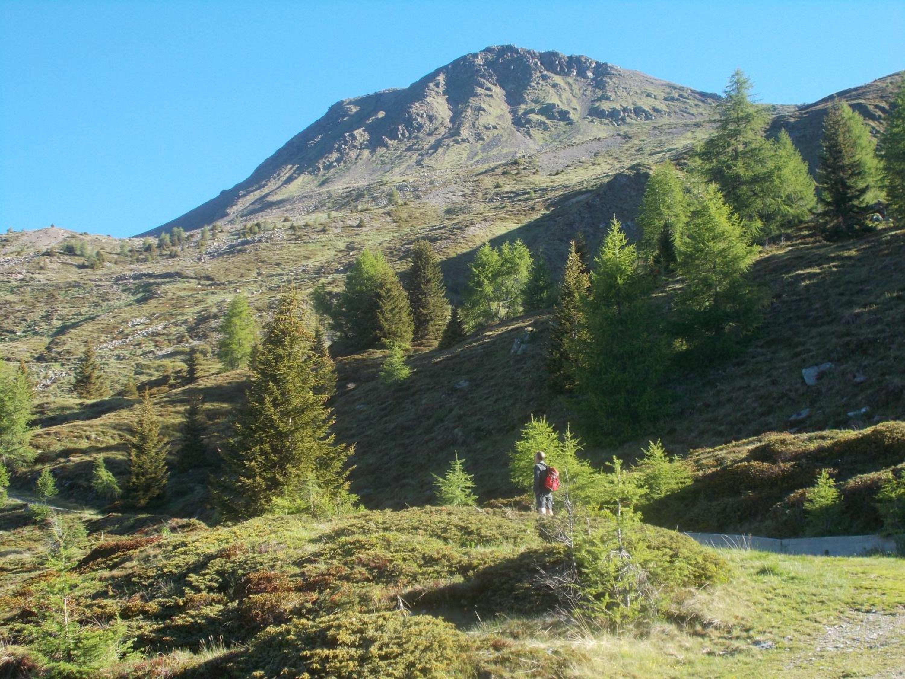 Photo 13