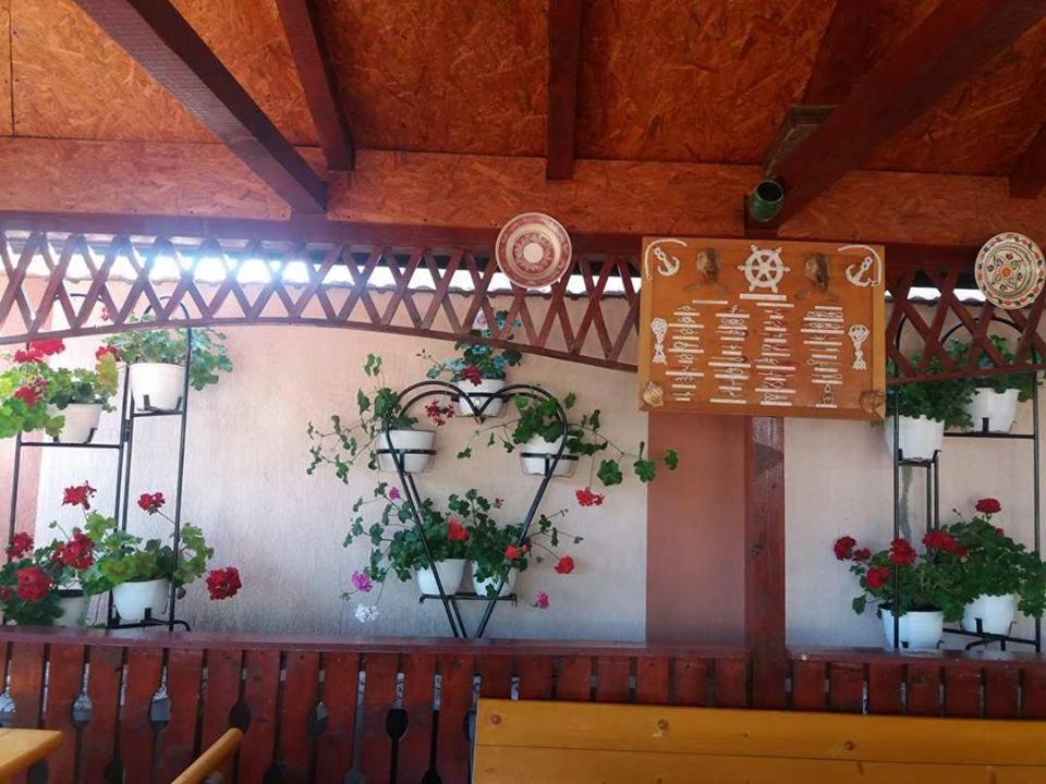 Photo 52