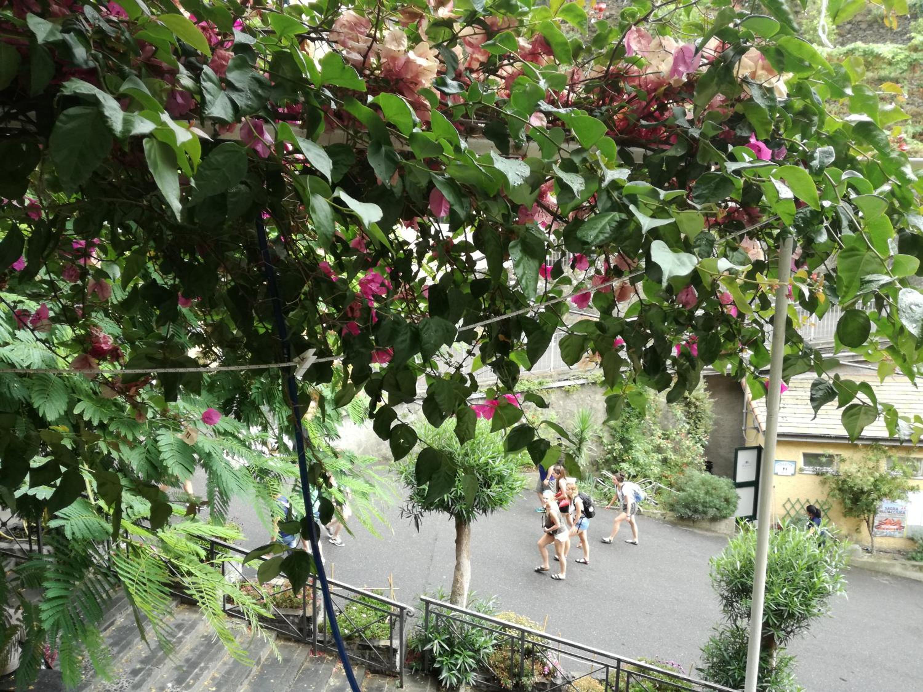 Riomaggiore Appartamenti