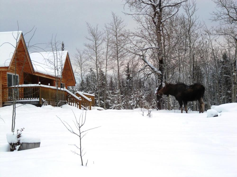 Eagle Bear Lodge
