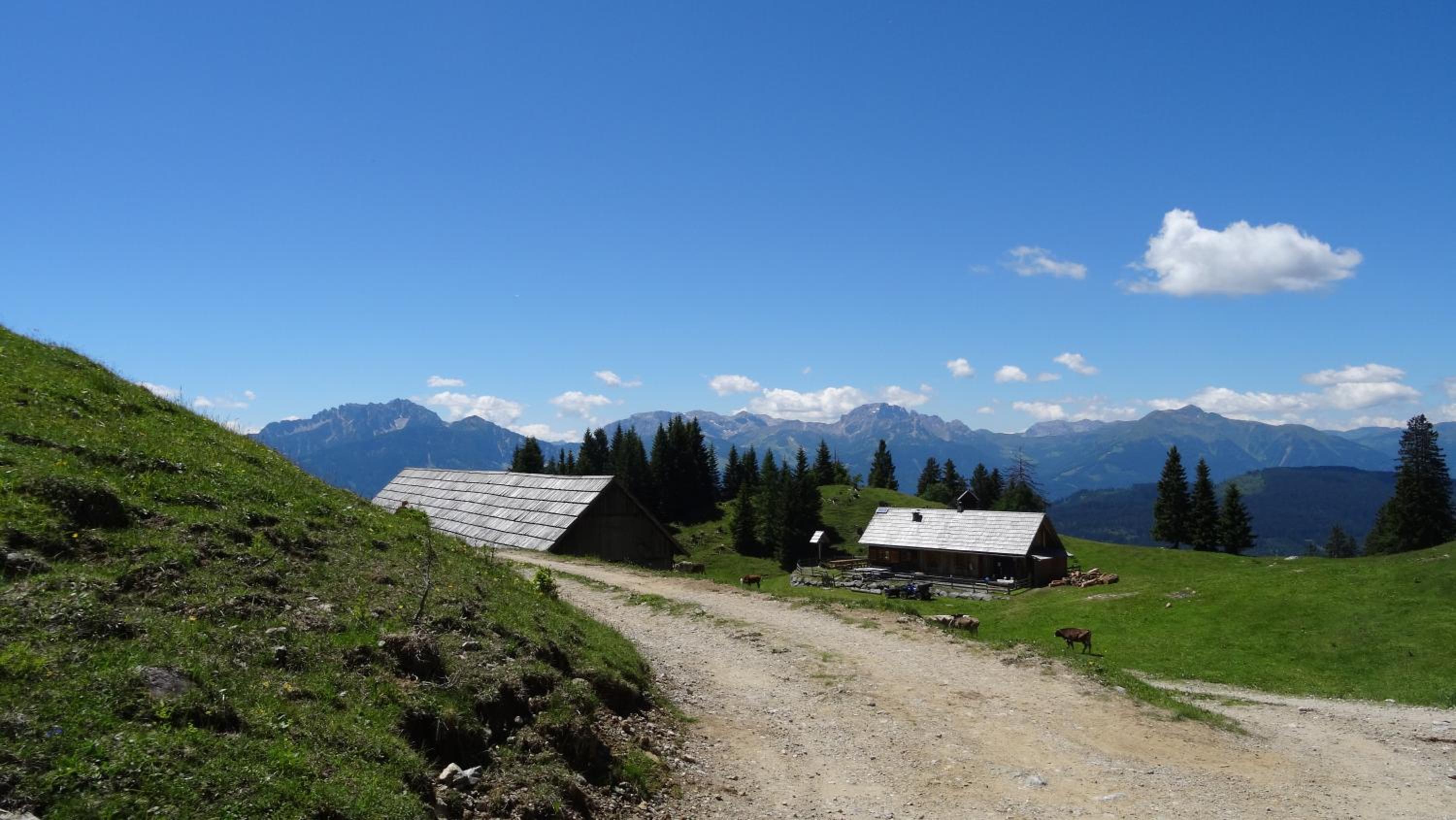 Ferienhaus Enzi