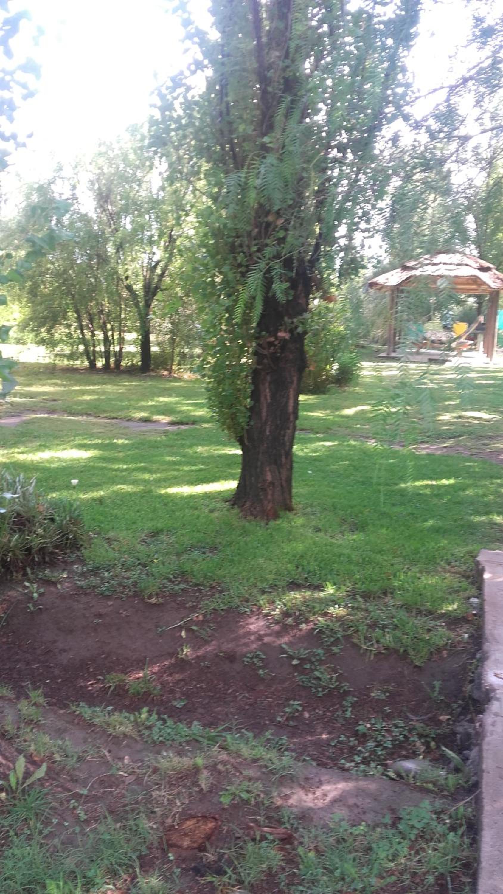 Cabañas Aike
