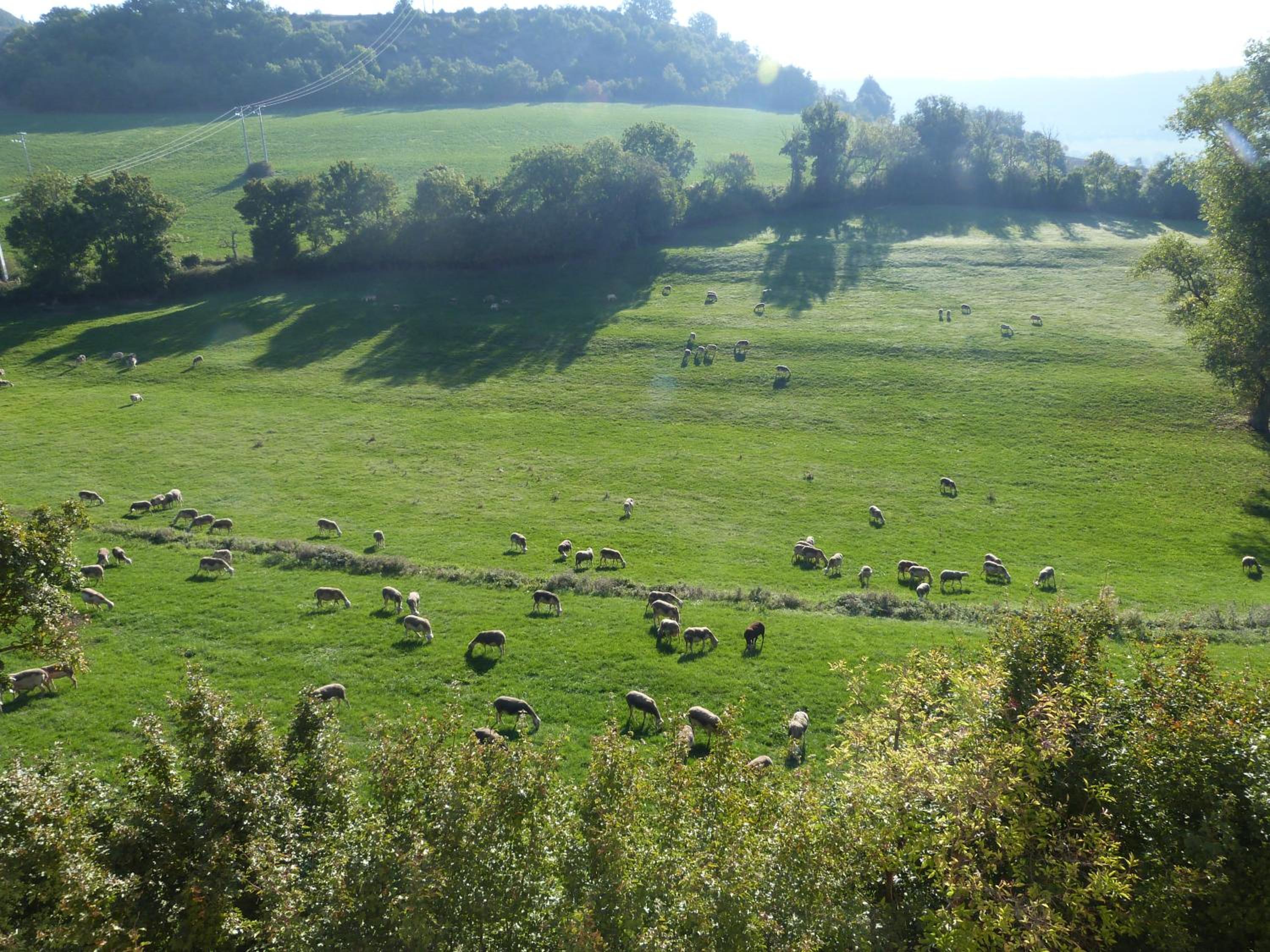 Photo 14
